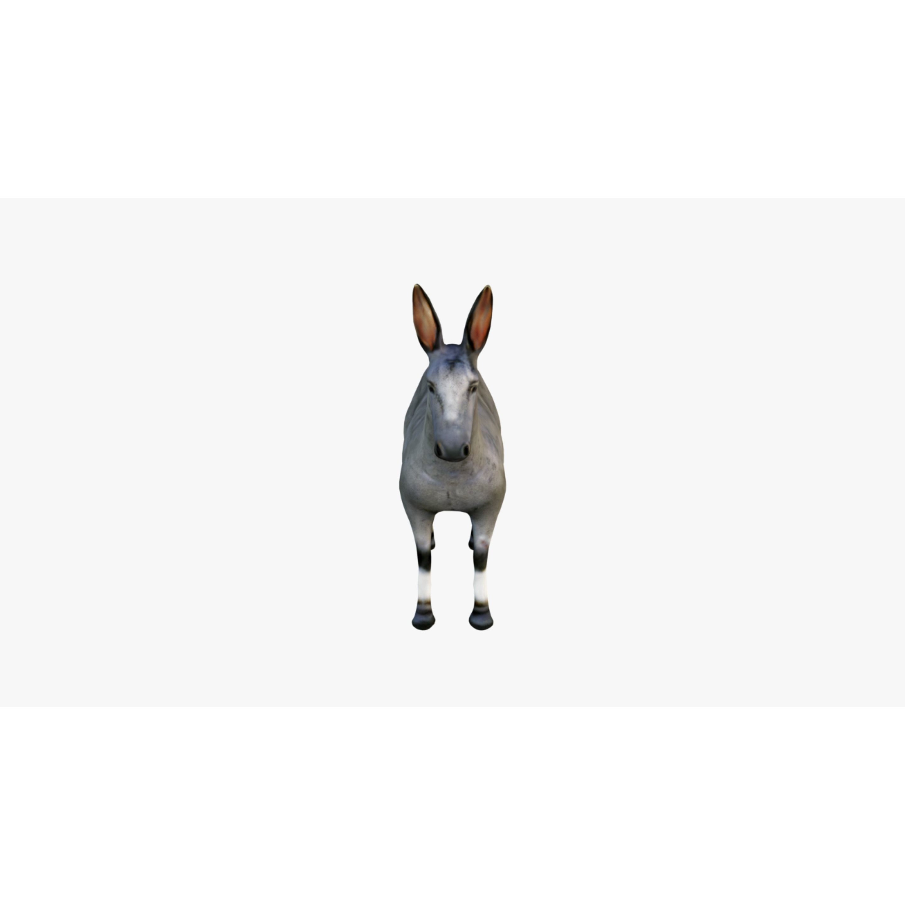 Donkey Free 3D model 3