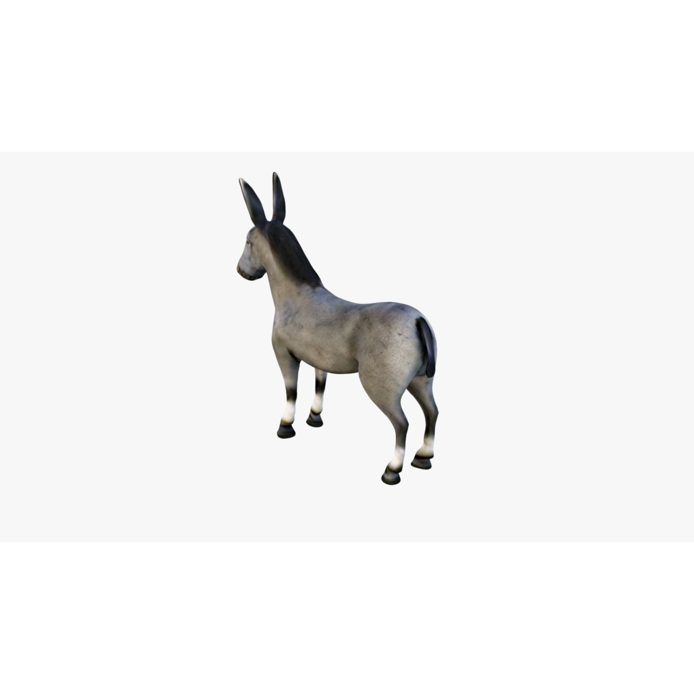 Donkey Free 3D model 4