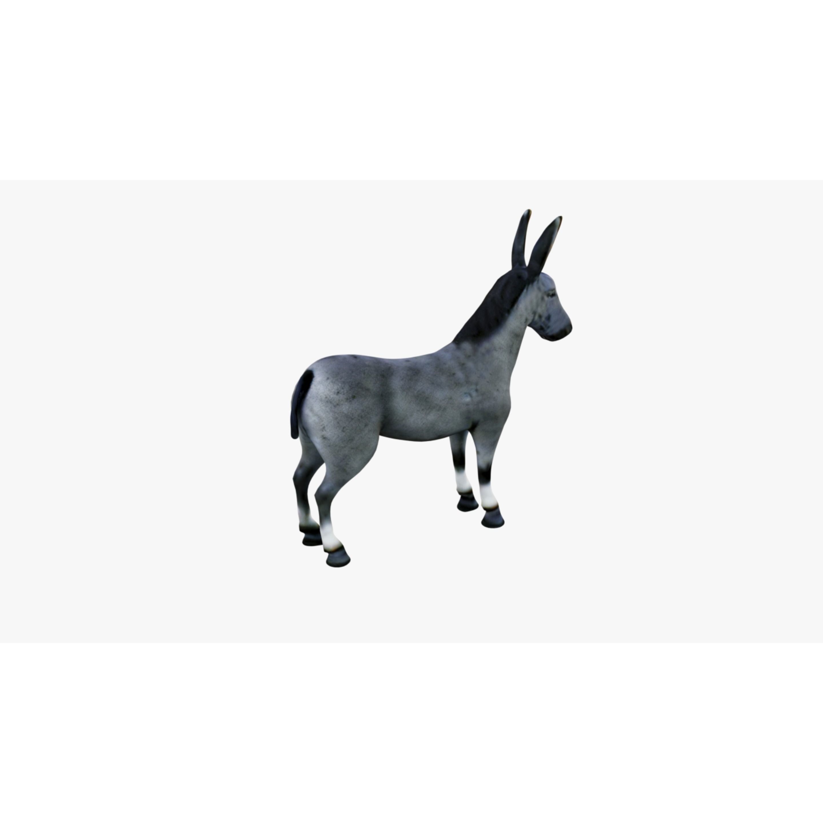 Donkey Free 3D model 5