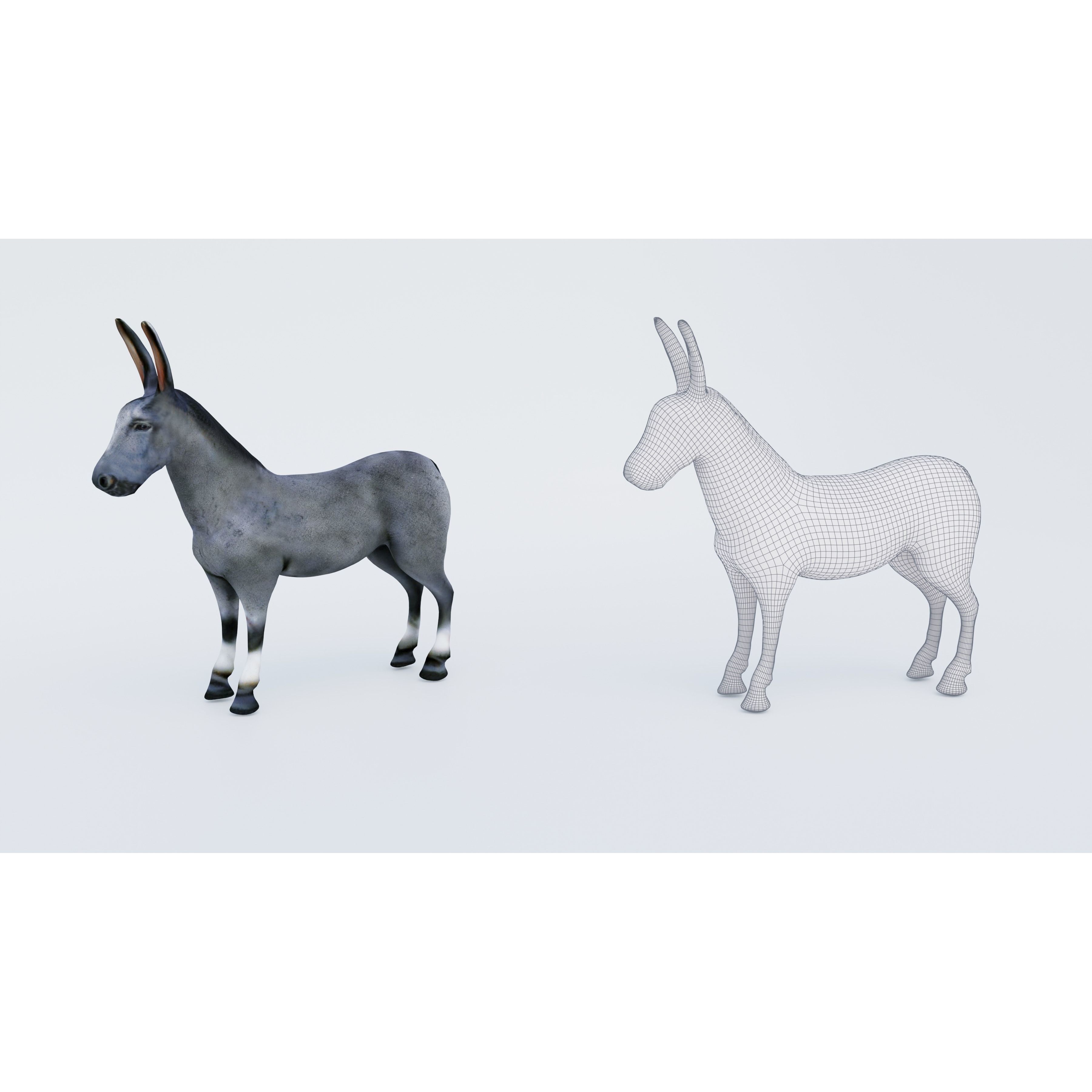 Donkey Free 3D model 6