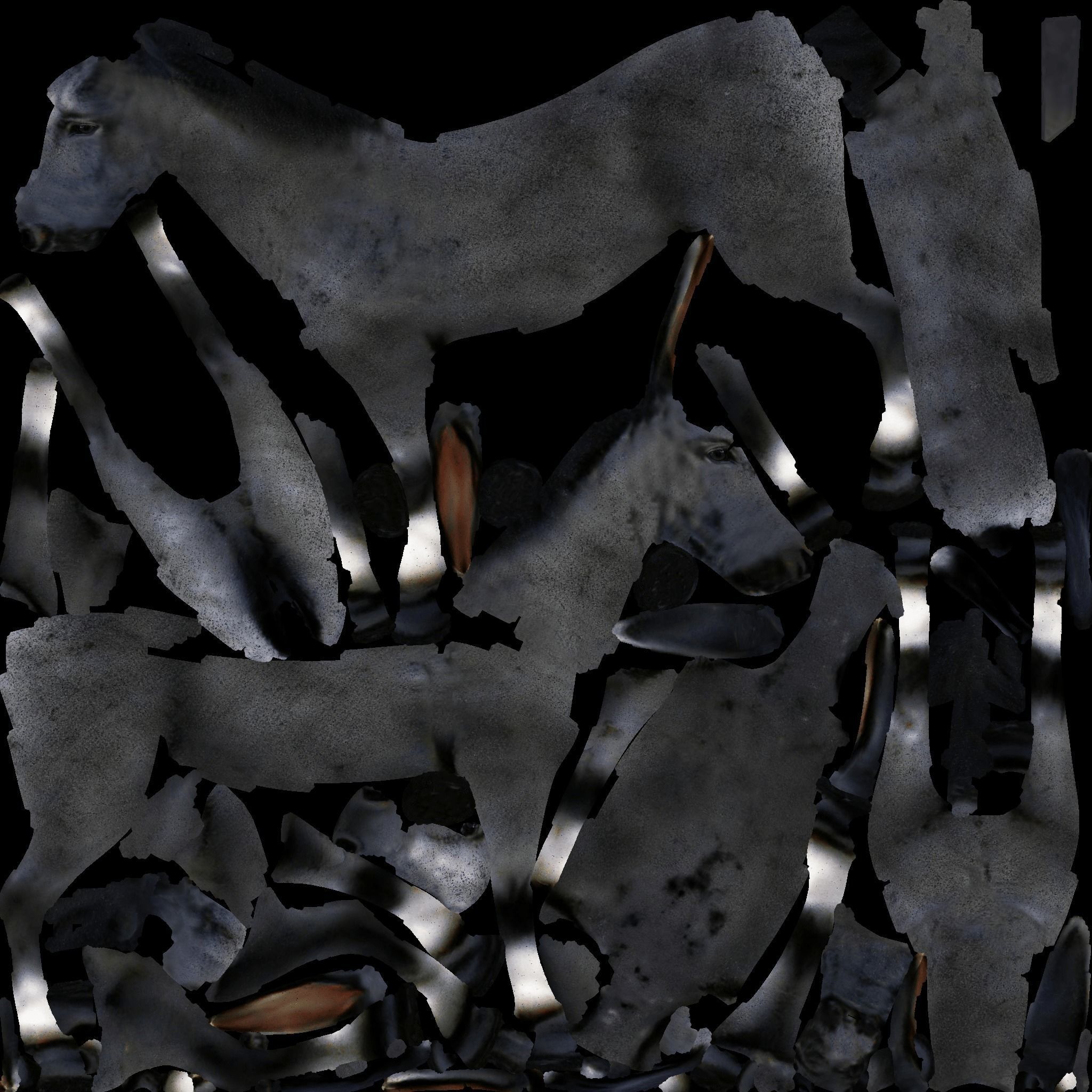 Donkey Free 3D model 8