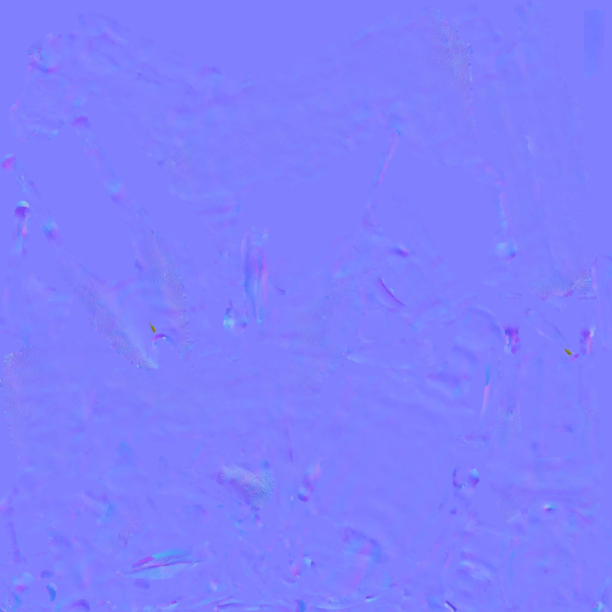 Donkey Free 3D model 9