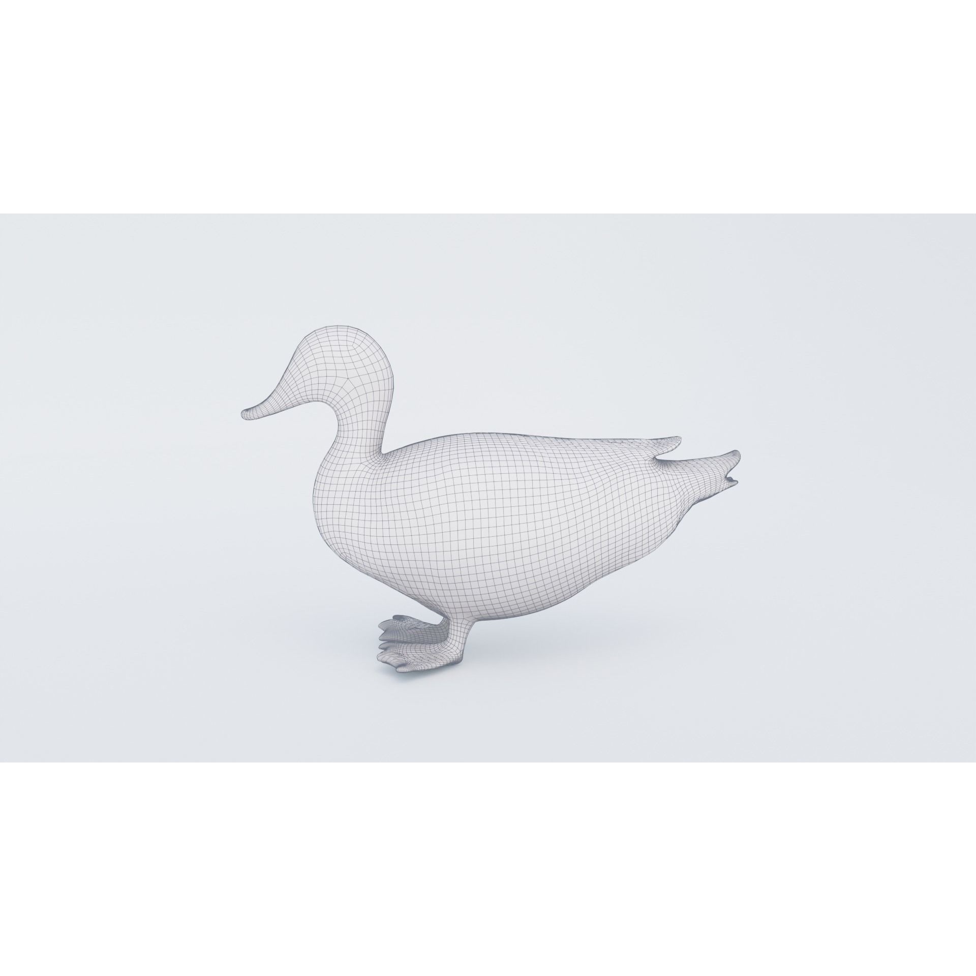 Duck Animal Free 3D model 7