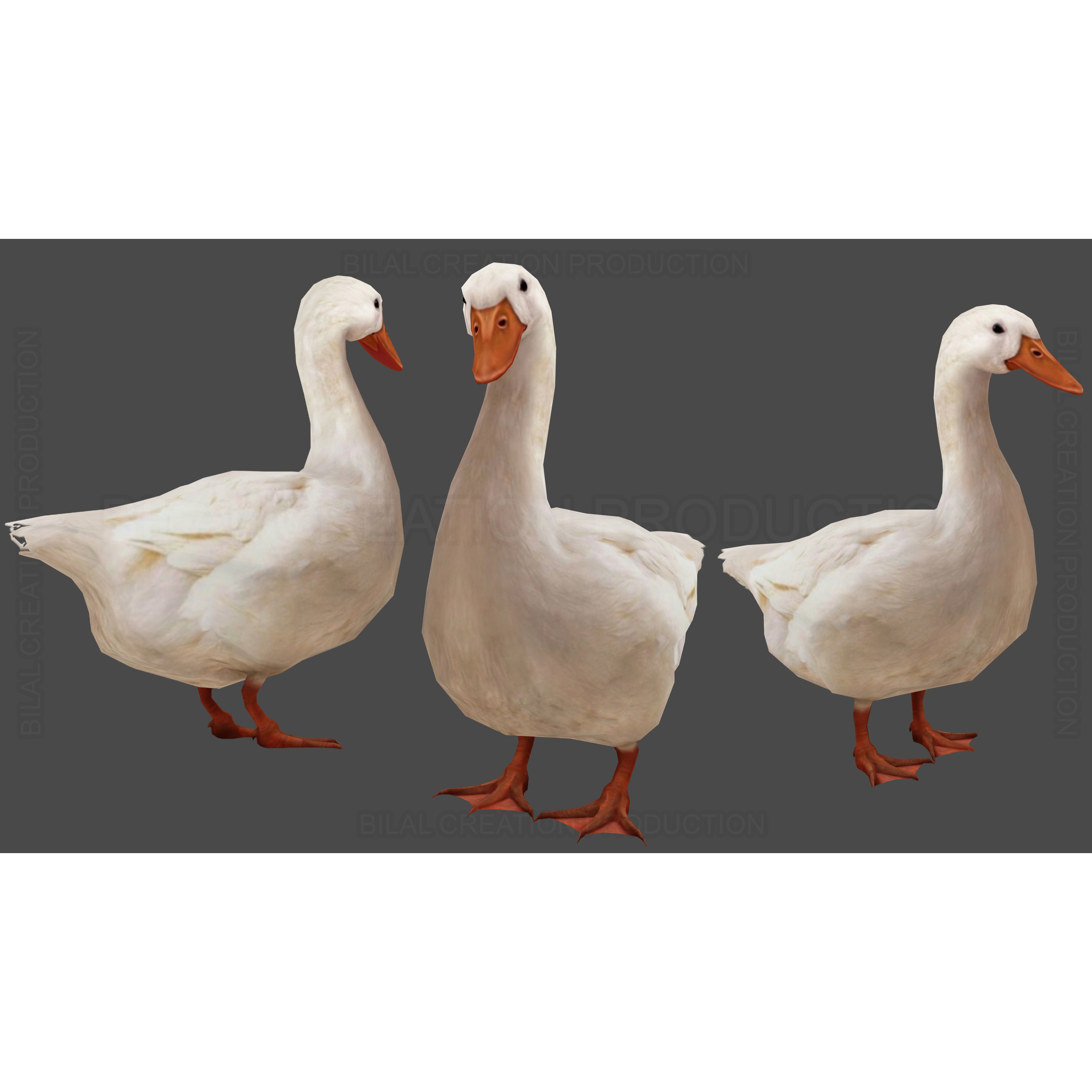 Duck Rigged Animated 3 Low-poly 3D model 2