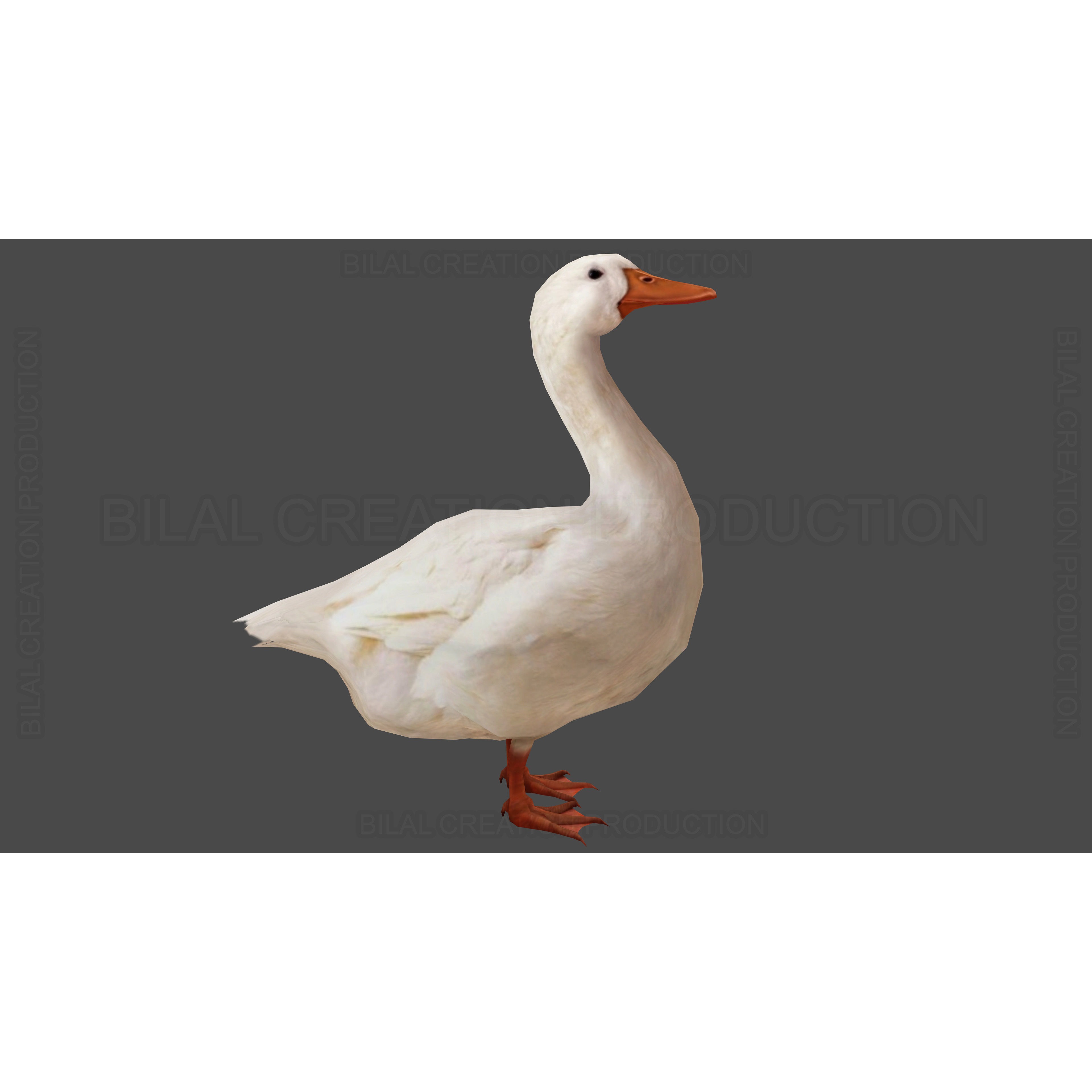 Duck Rigged Animated 3 Low-poly 3D model 4