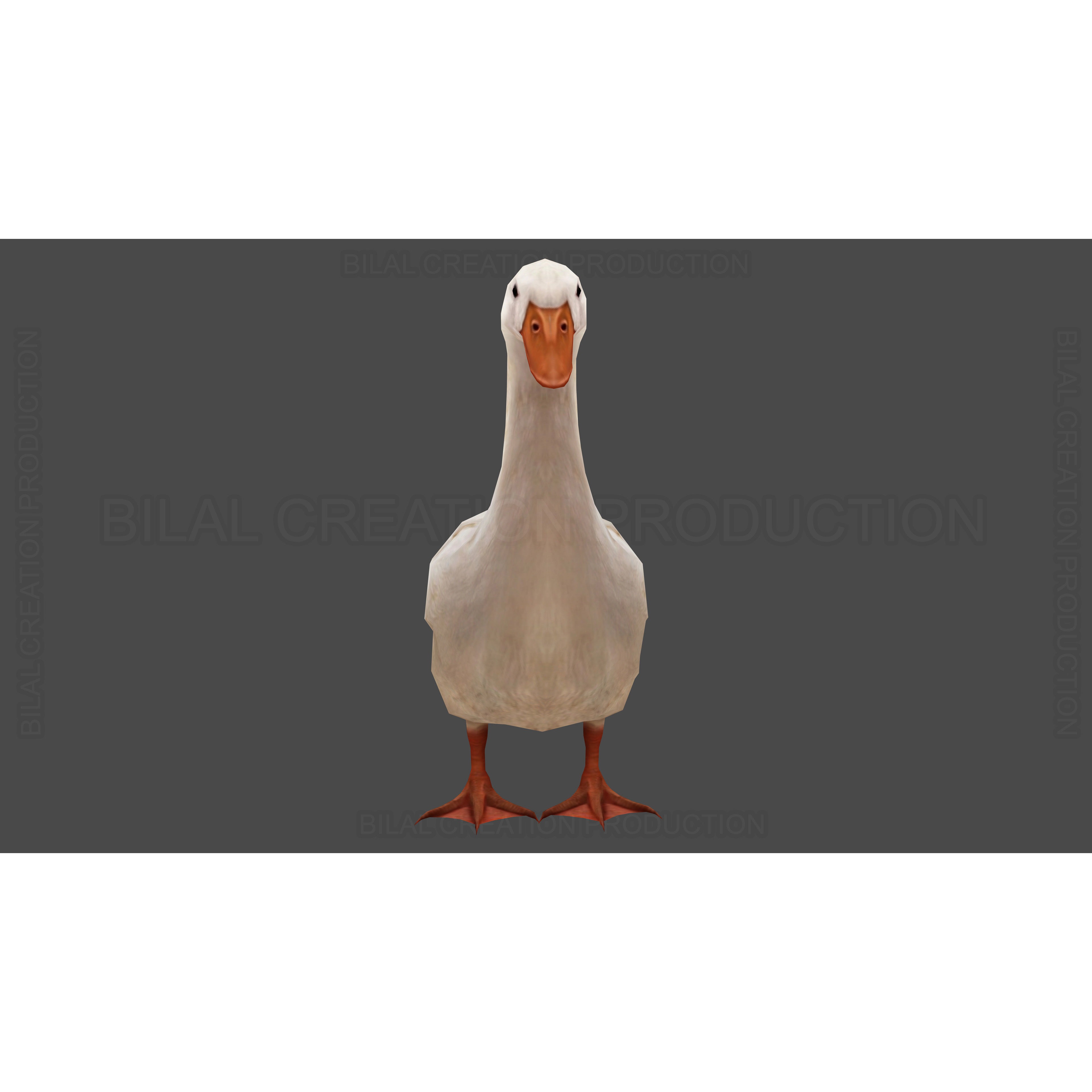 Duck Rigged Animated 3 Low-poly 3D model 8