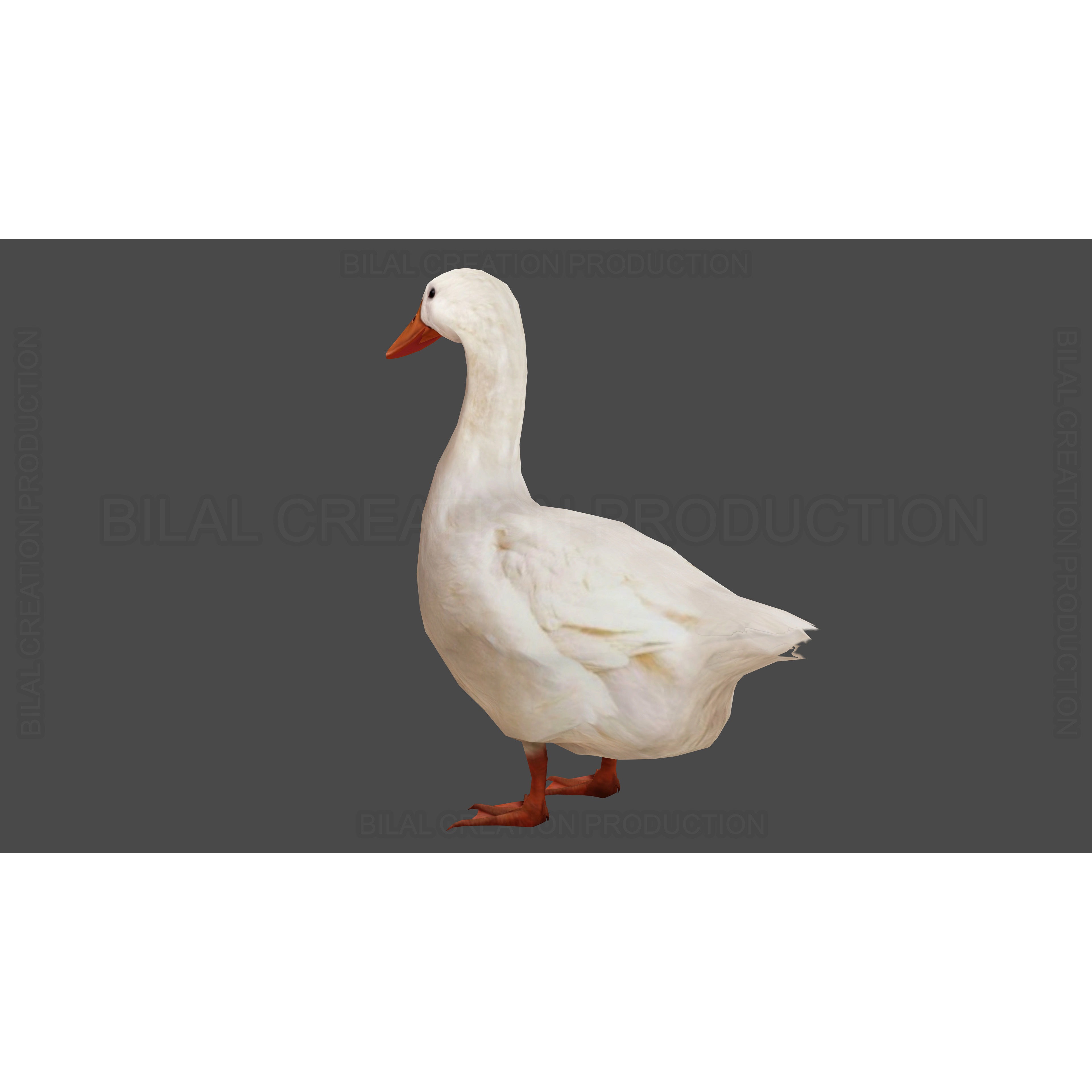 Duck Rigged Animated 3 Low-poly 3D model 10