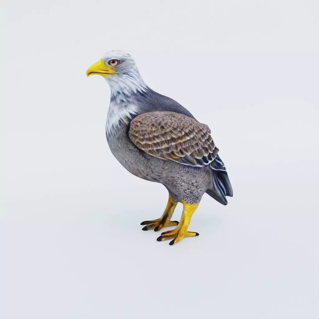 Eagle Free 3D model