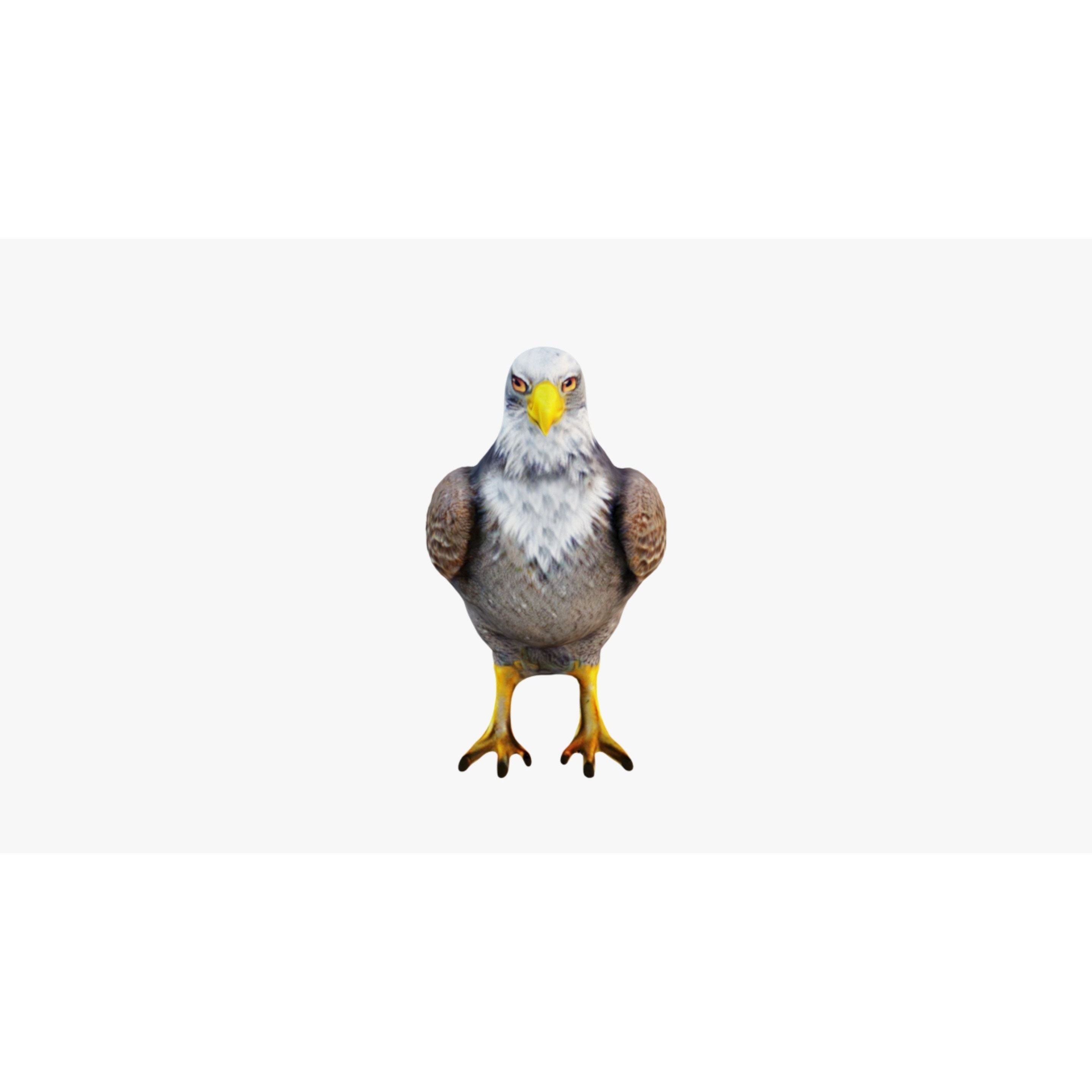 Eagle Free 3D model 3