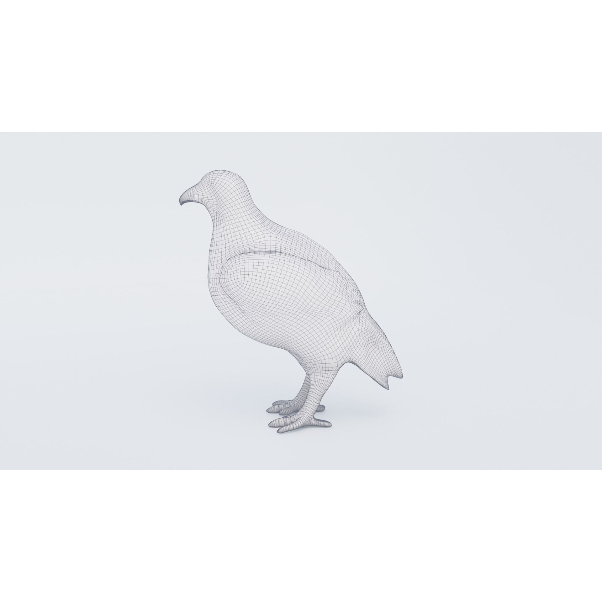 Eagle Free 3D model 7