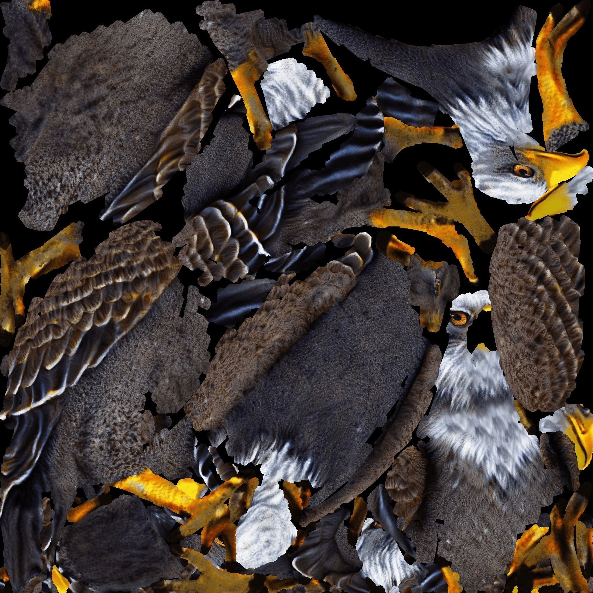 Eagle Free 3D model 8