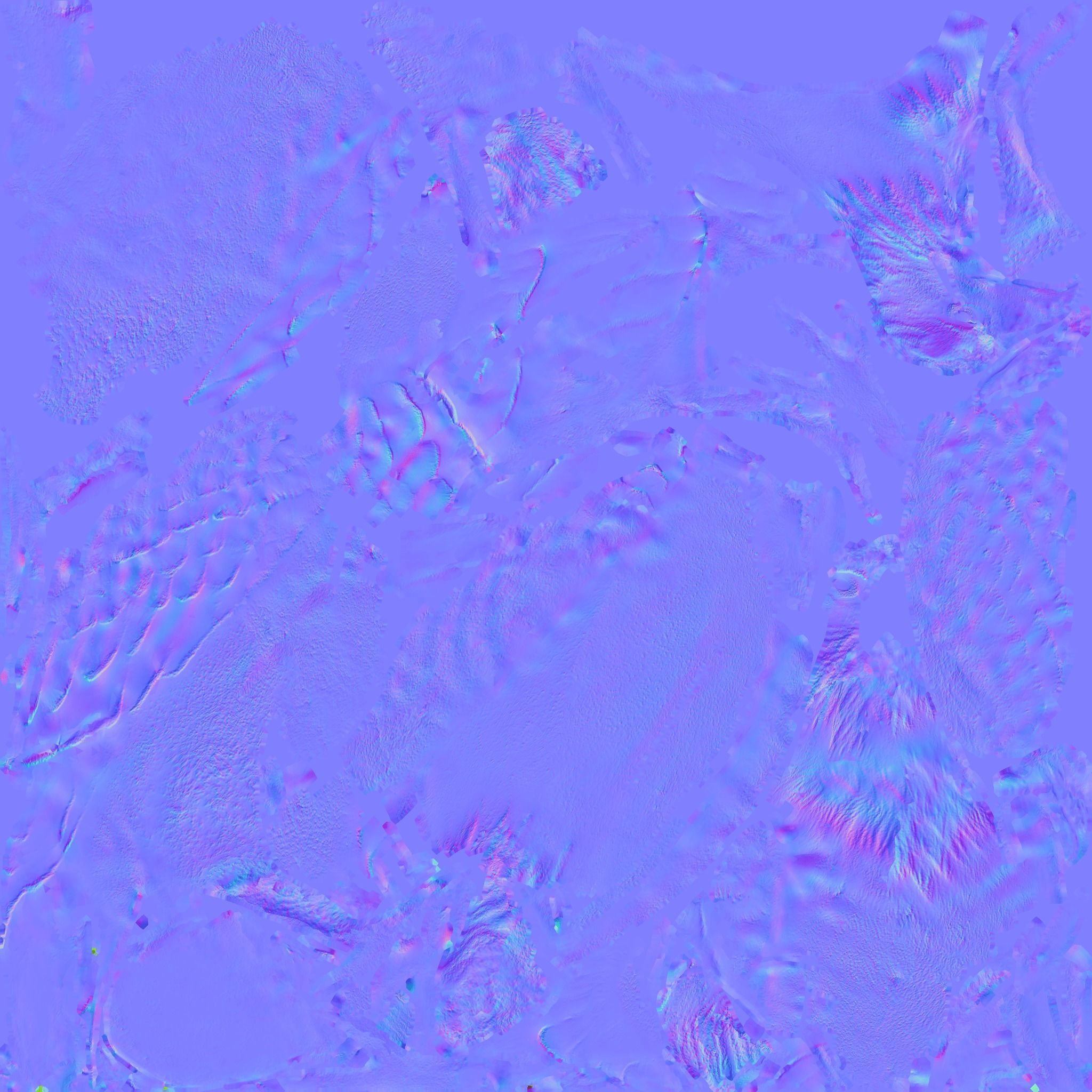 Eagle Free 3D model 9