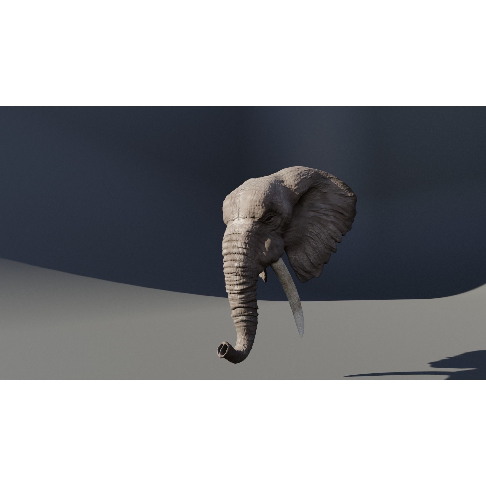 Elephant 3D head with tusks Free 3D model 3