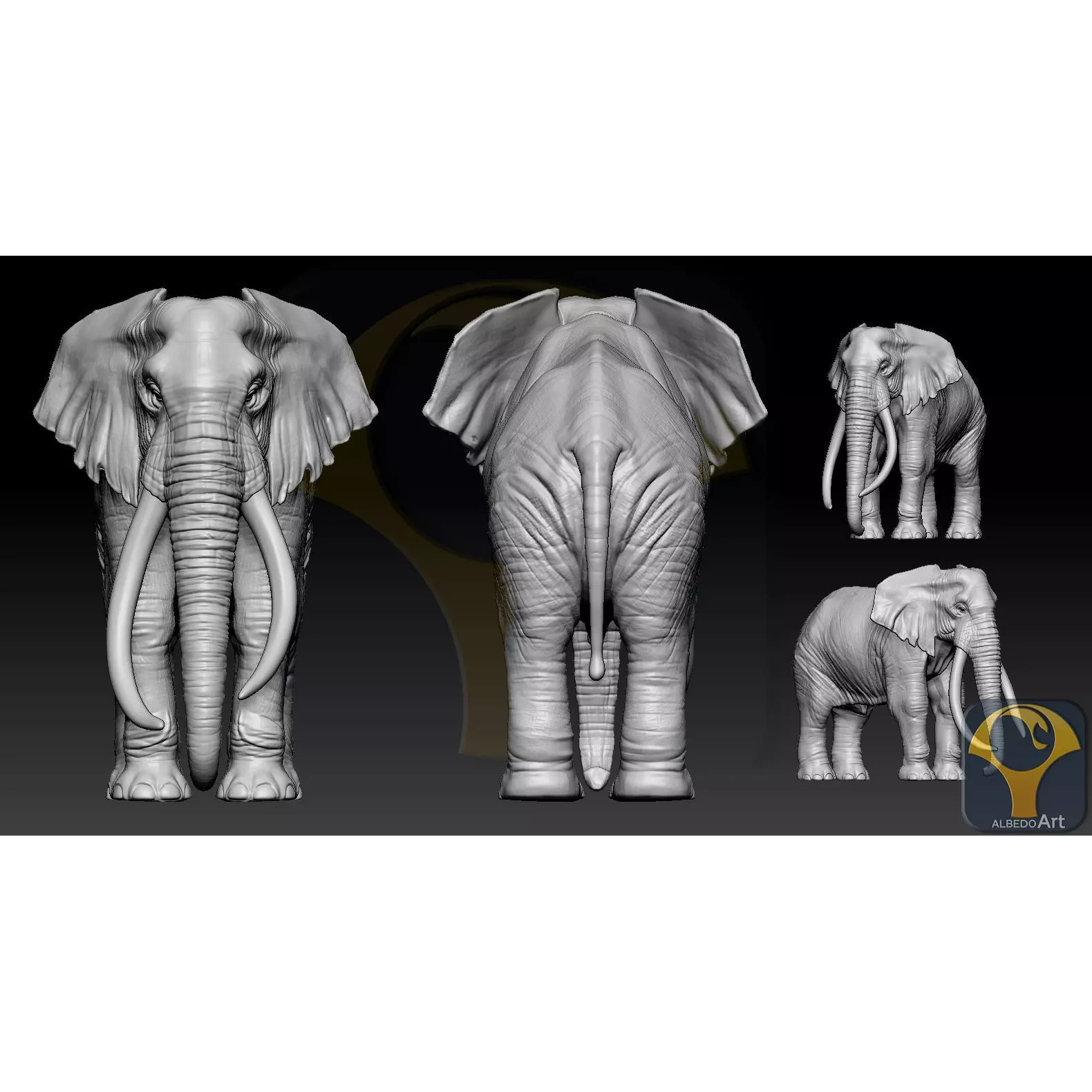 Elephant African 3D print model