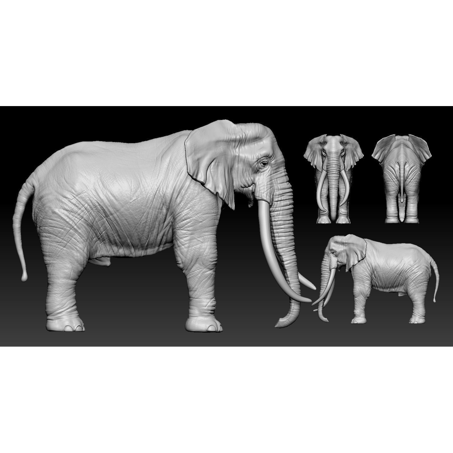 Elephant African 3D print model 2