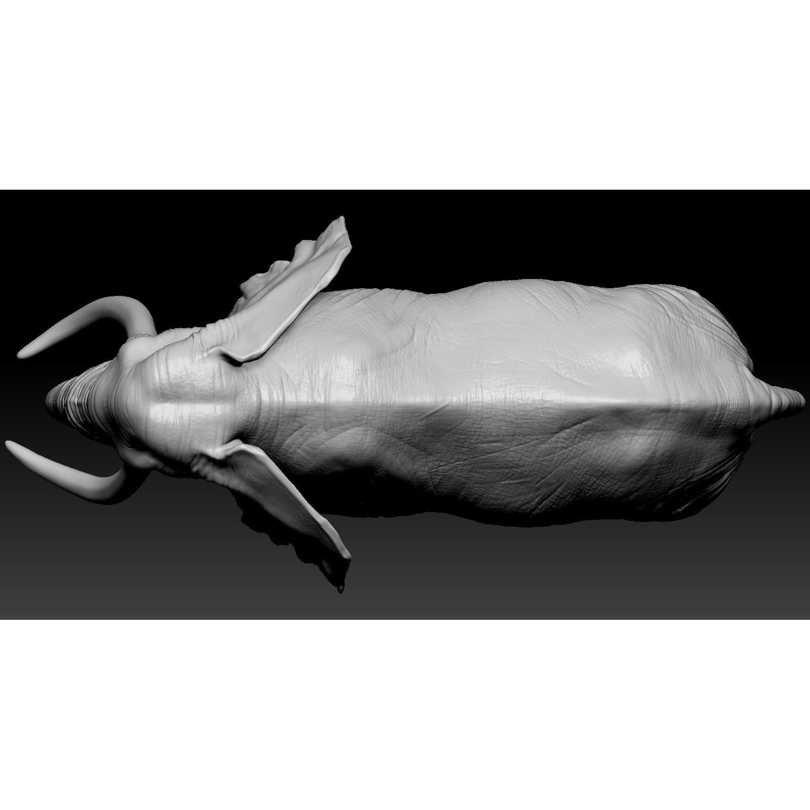 Elephant African 3D print model 7