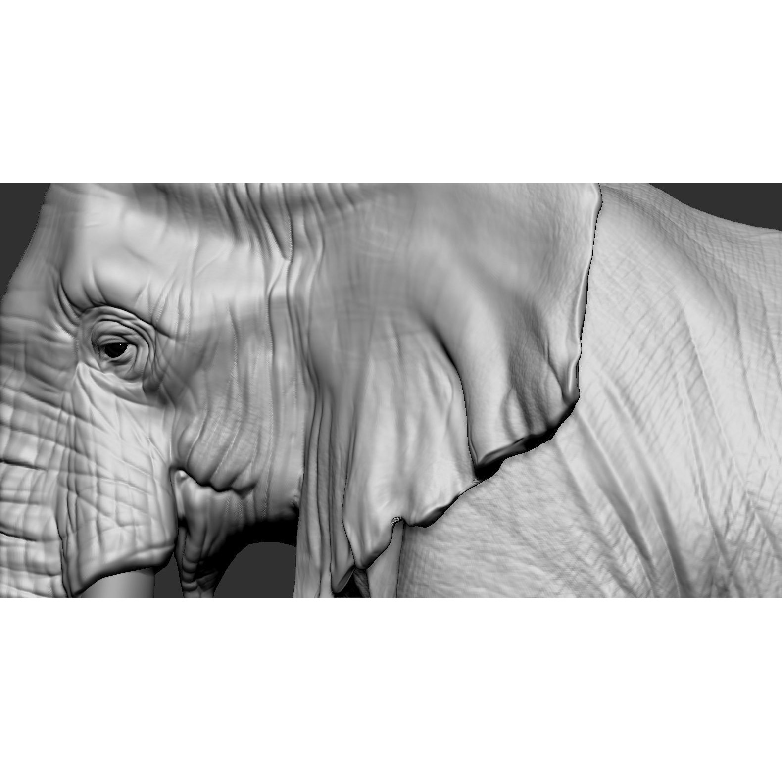 Elephant African 3D print model 8