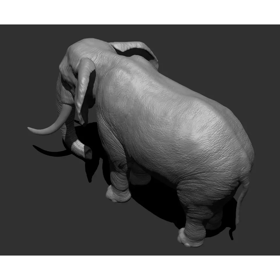Elephant Low-poly 3D model 3