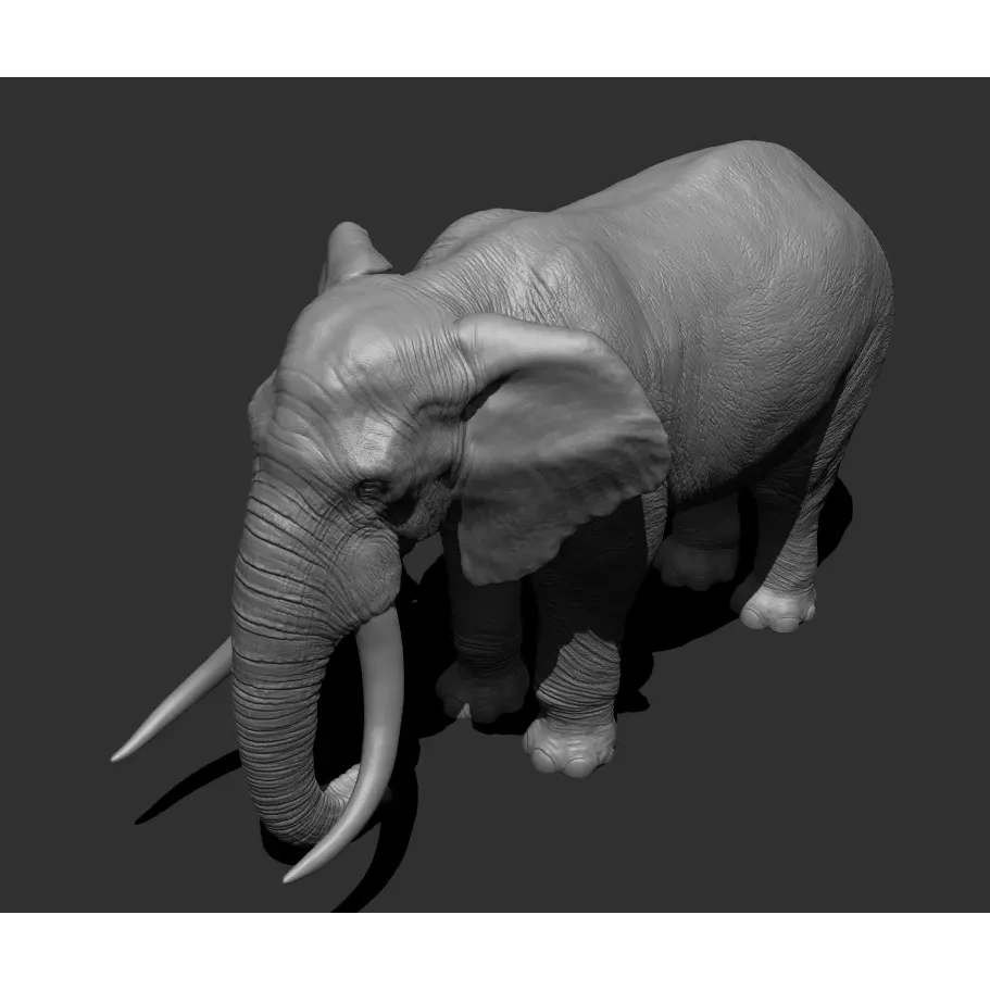 Elephant Low-poly 3D model 4