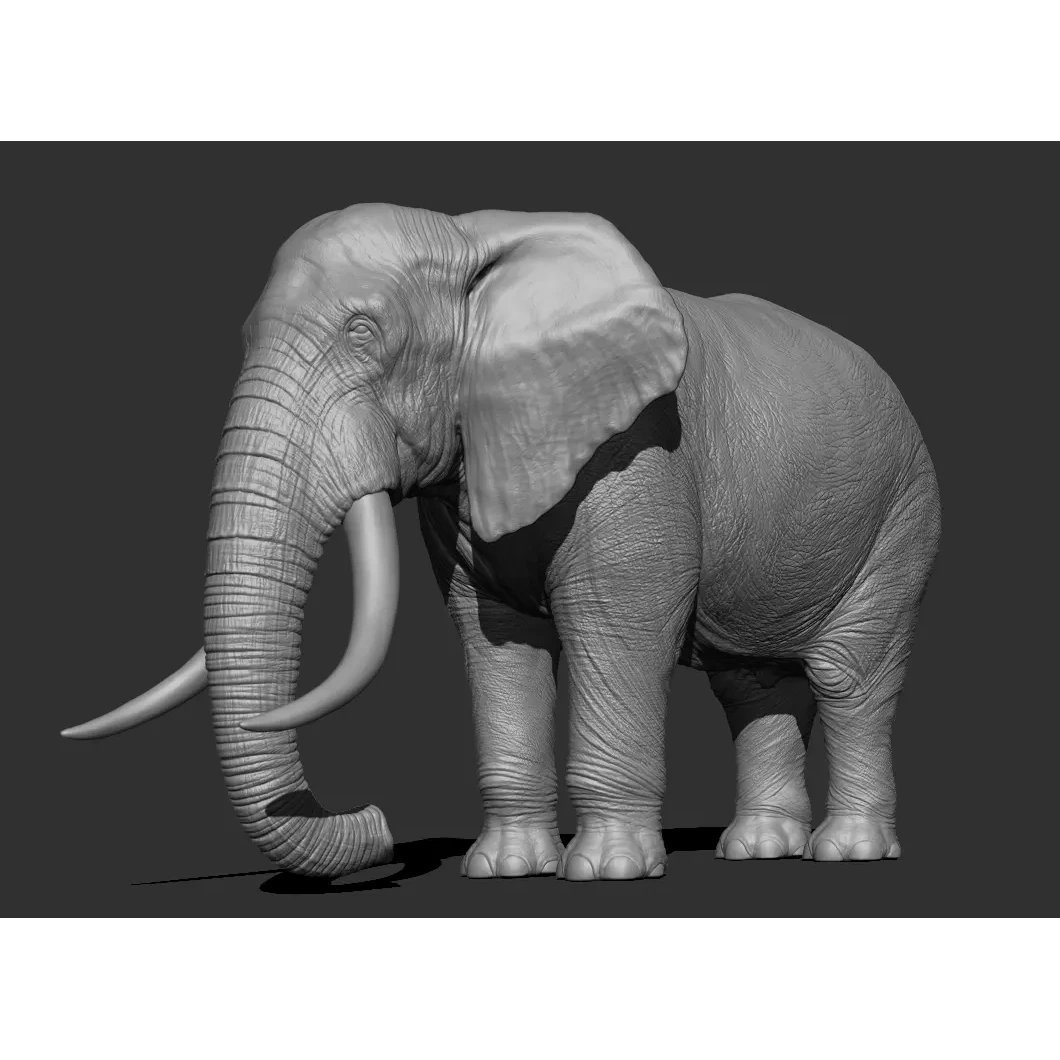 Elephant Low-poly 3D model 5