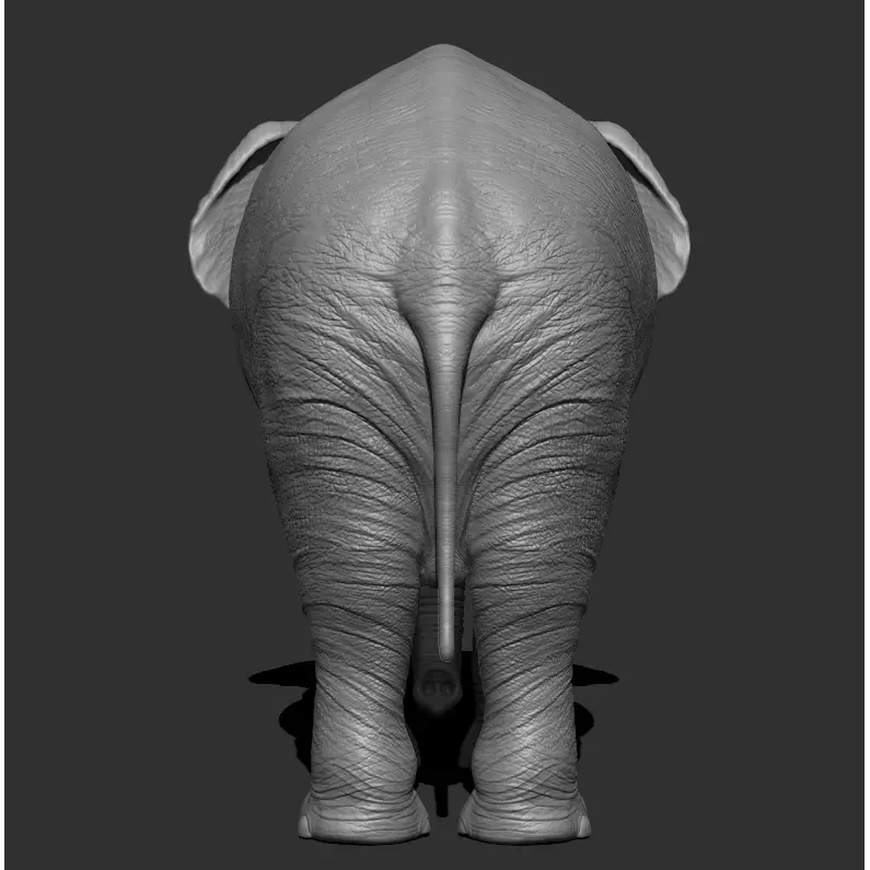 Elephant Low-poly 3D model 7