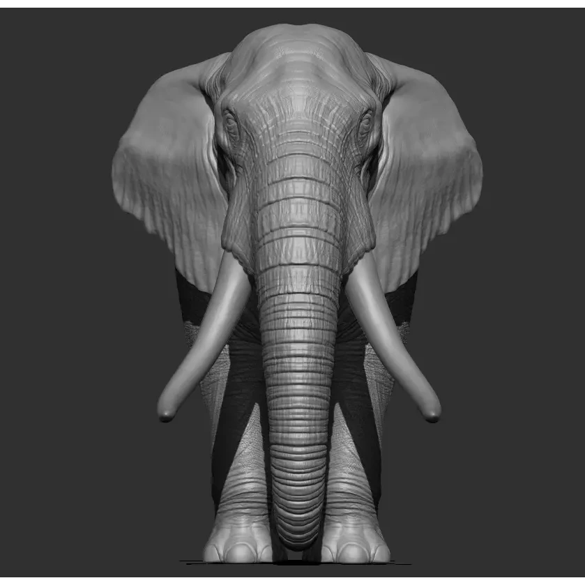 Elephant Low-poly 3D model 8