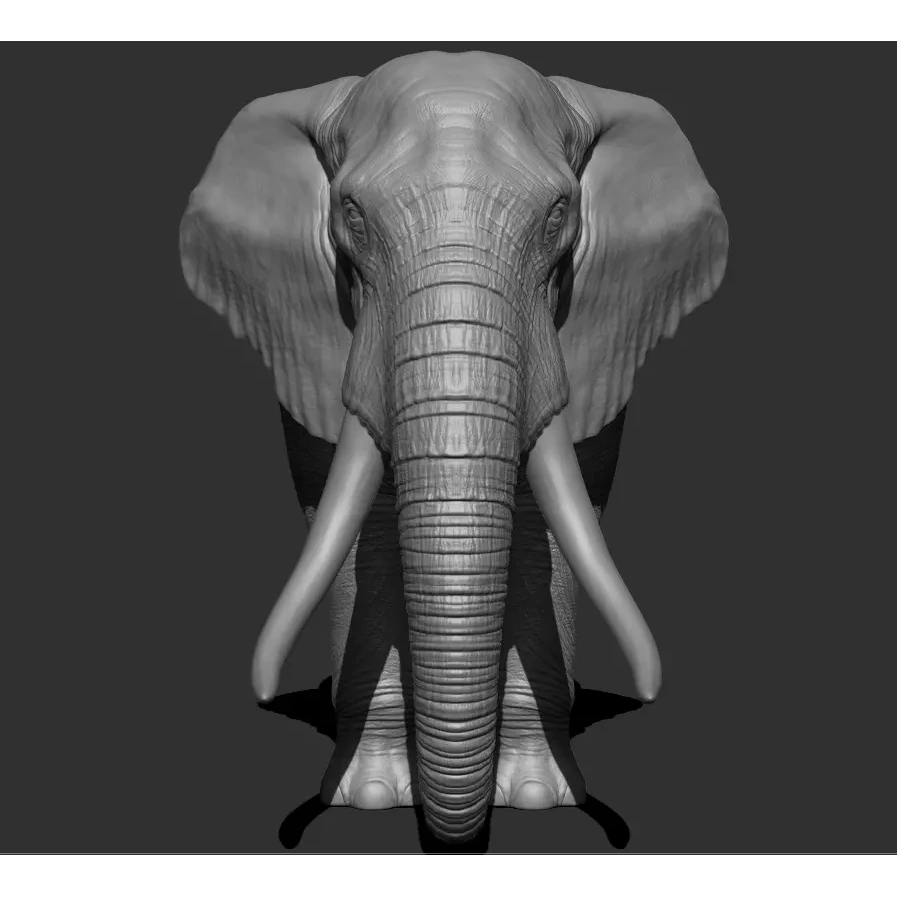 Elephant Low-poly 3D model 9