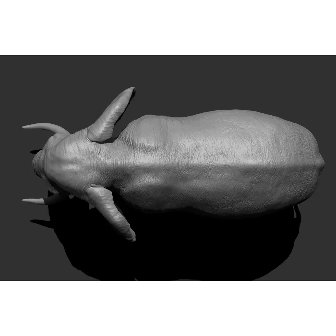 Elephant Low-poly 3D model 10
