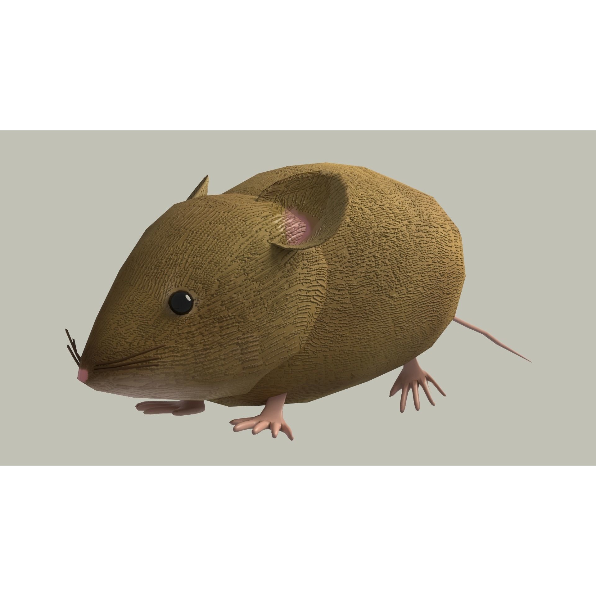 European Field Mouse Free low-poly 3D model 7