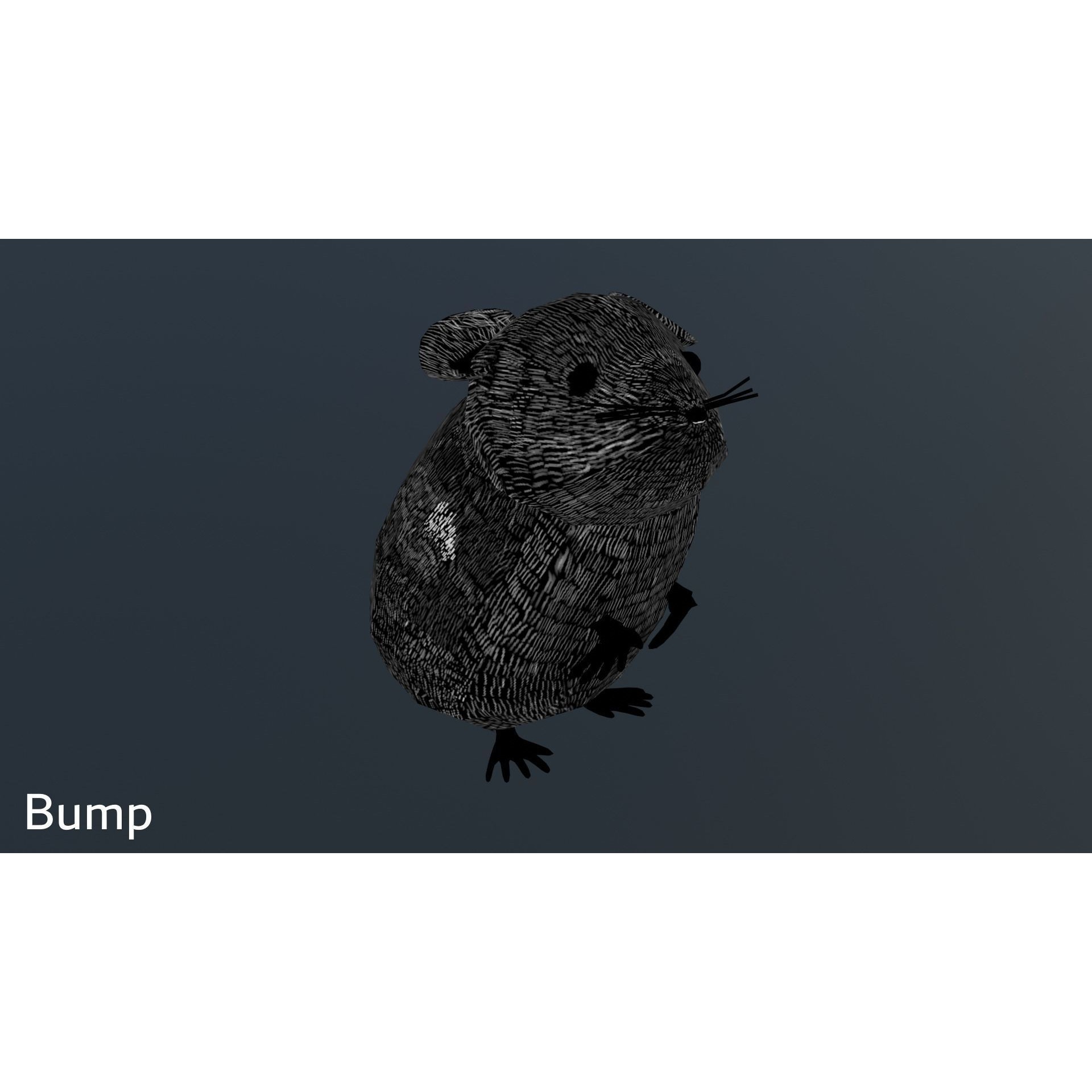 European Field Mouse Free low-poly 3D model 8