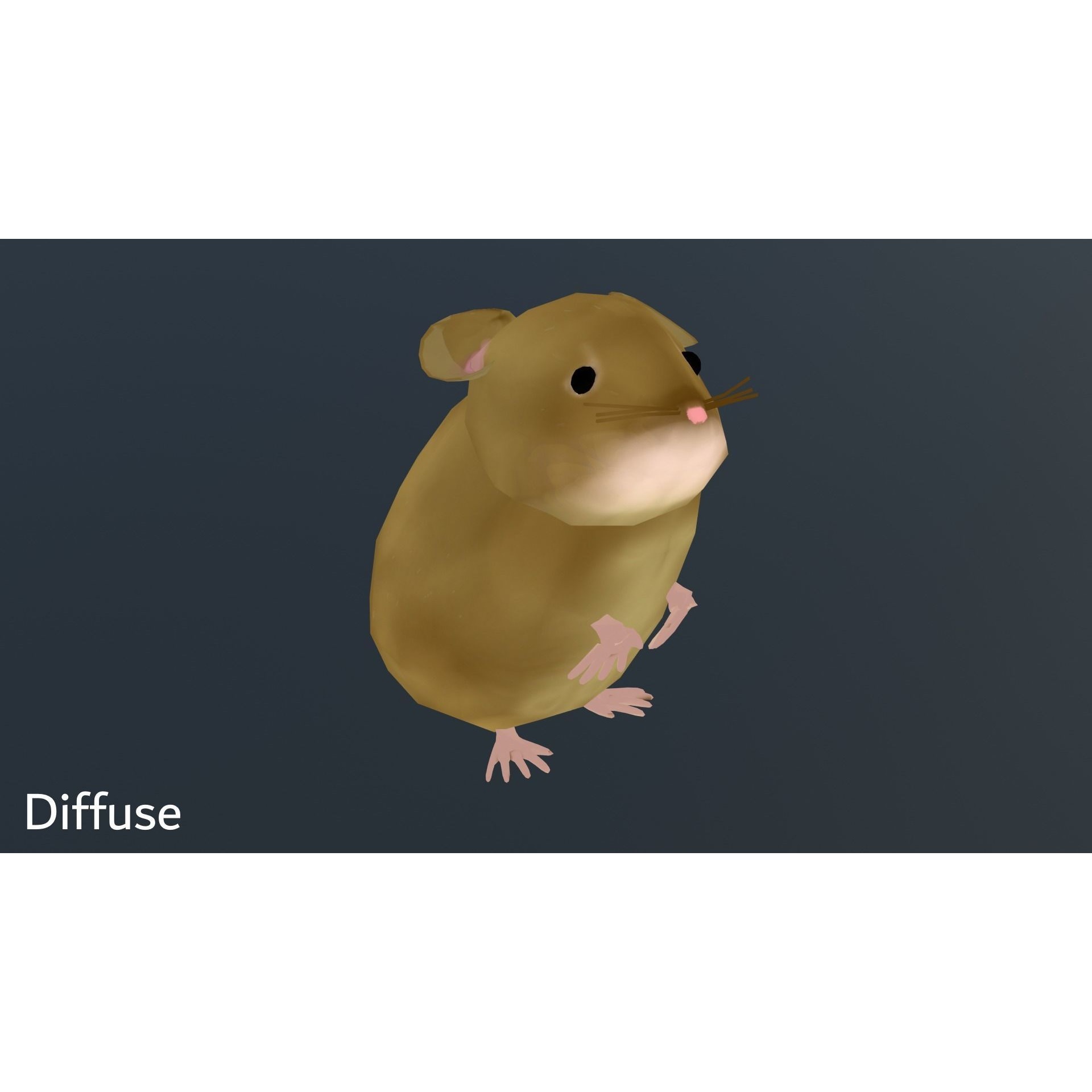 European Field Mouse Free low-poly 3D model 9