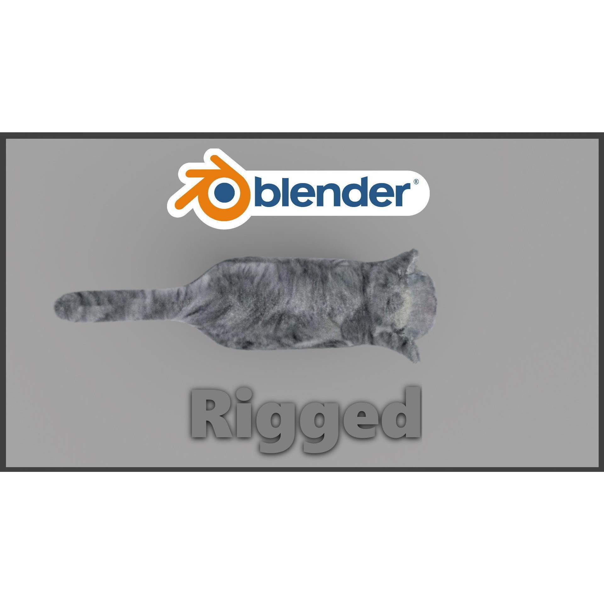Exotic Shorthair Free 3D model 3