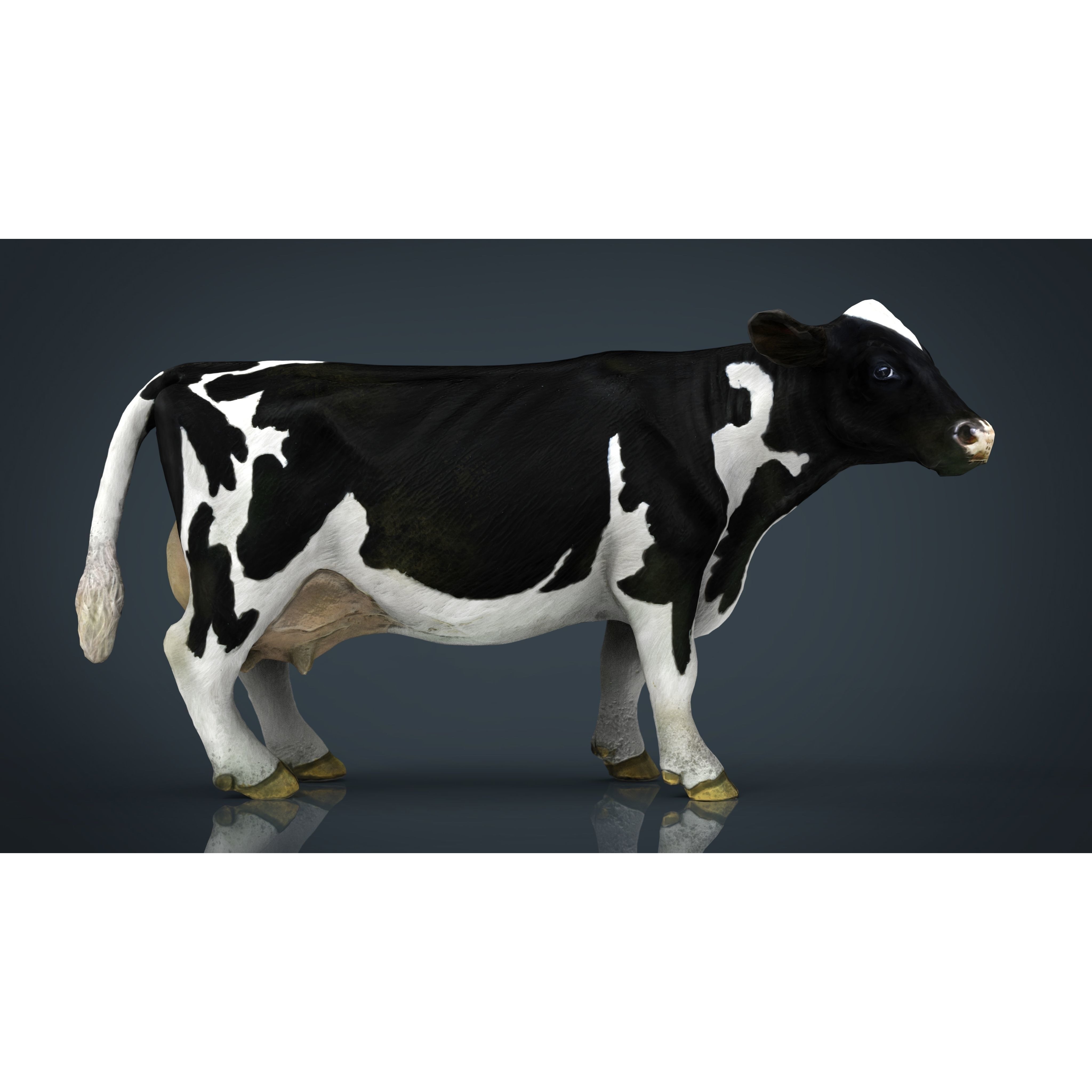 Farm Animals Collection Pack Low-poly 3D model 5