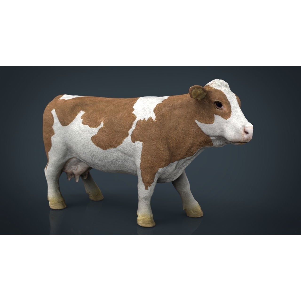 Farm Animals Collection Pack Low-poly 3D model 8