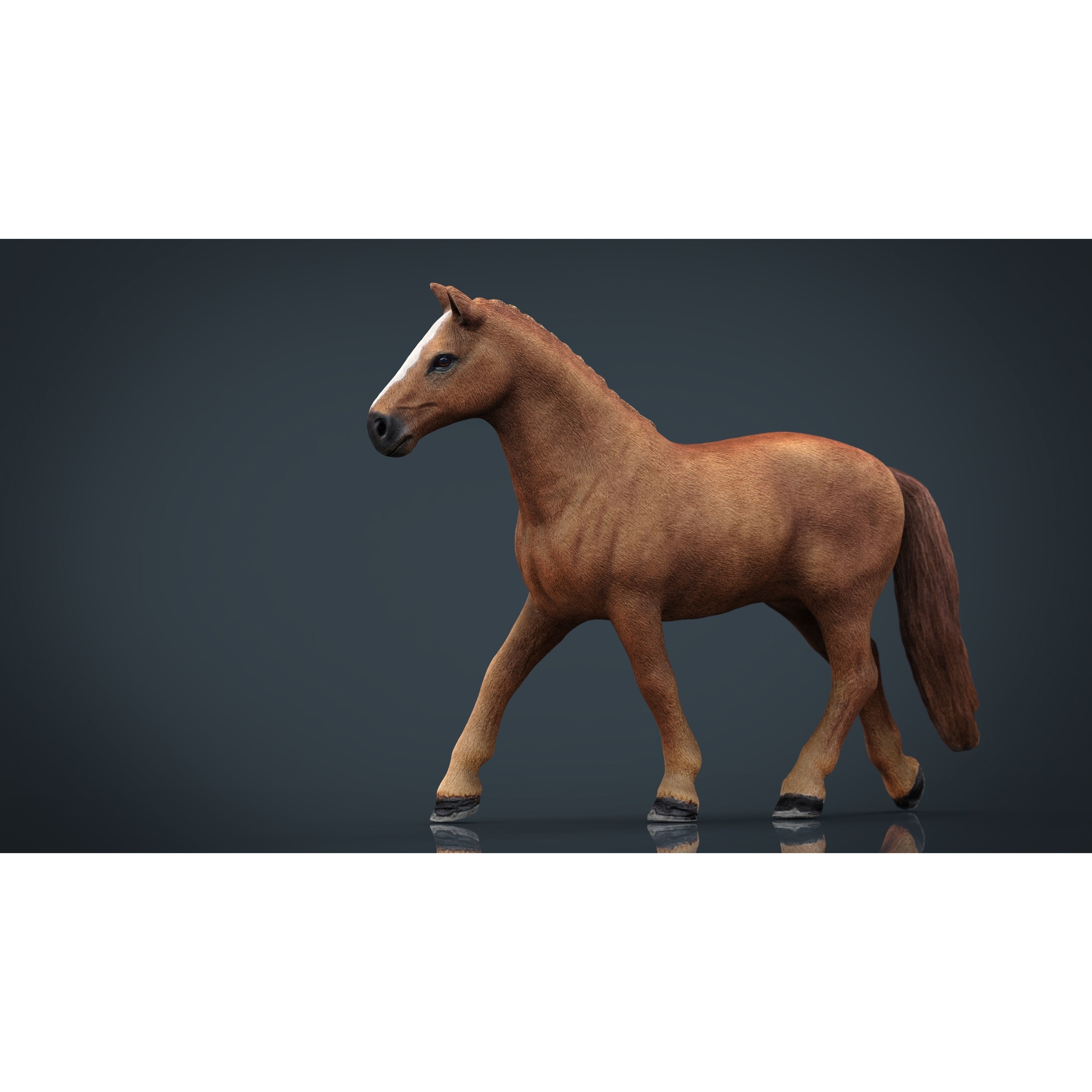 Farm Animals Collection Pack Low-poly 3D model 10