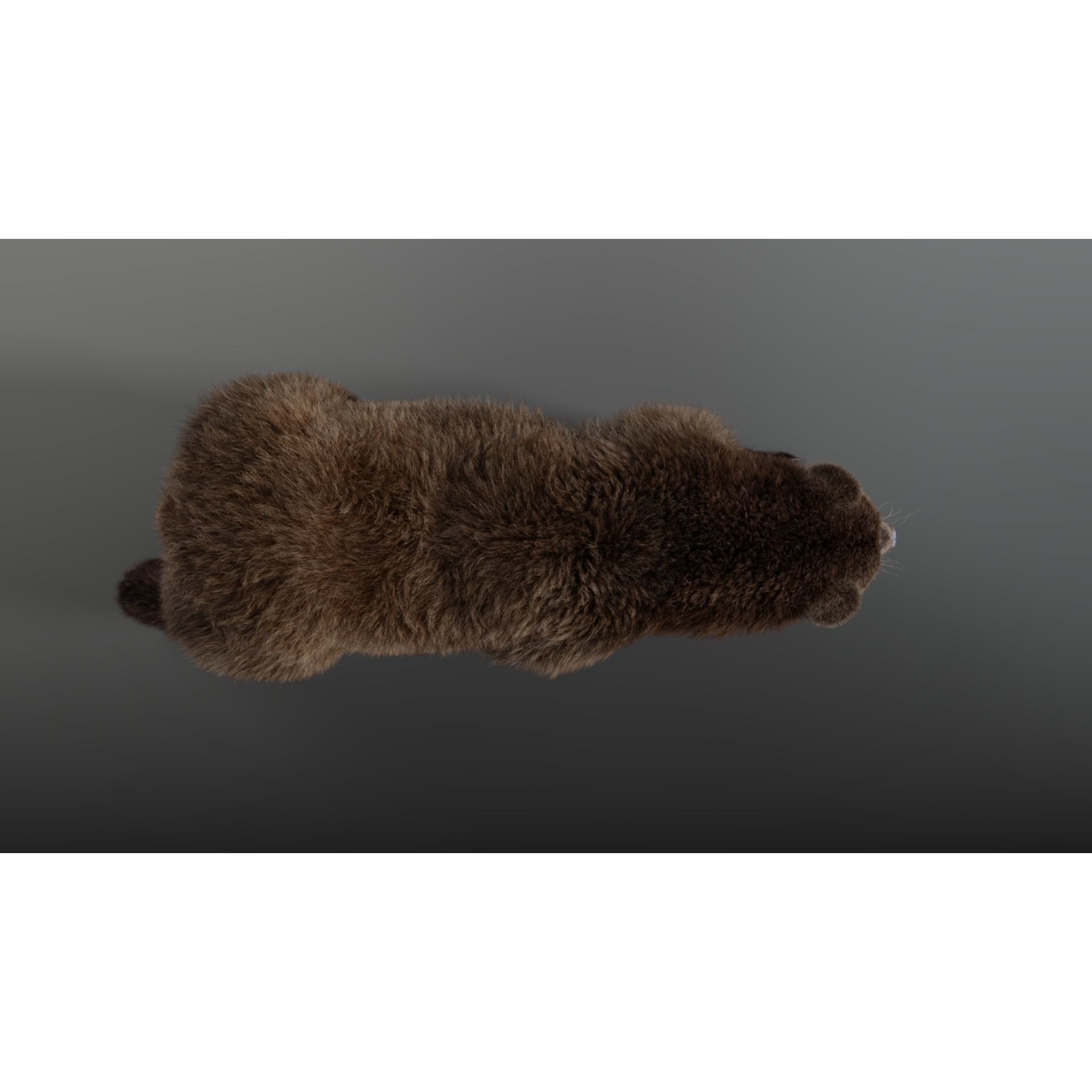 Female Brown Bear Animated 3D model 7