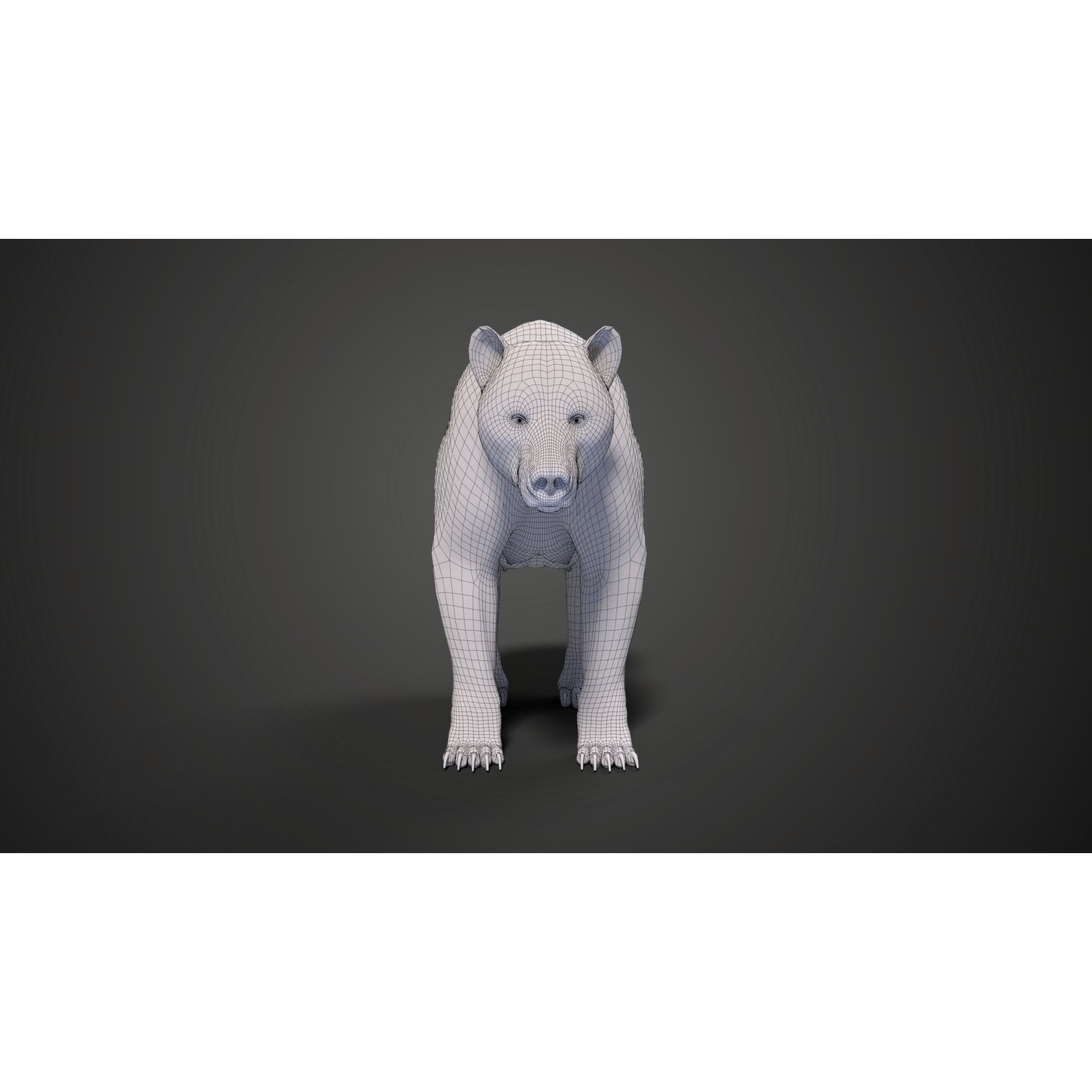 Female Brown Bear Animated 3D model 8