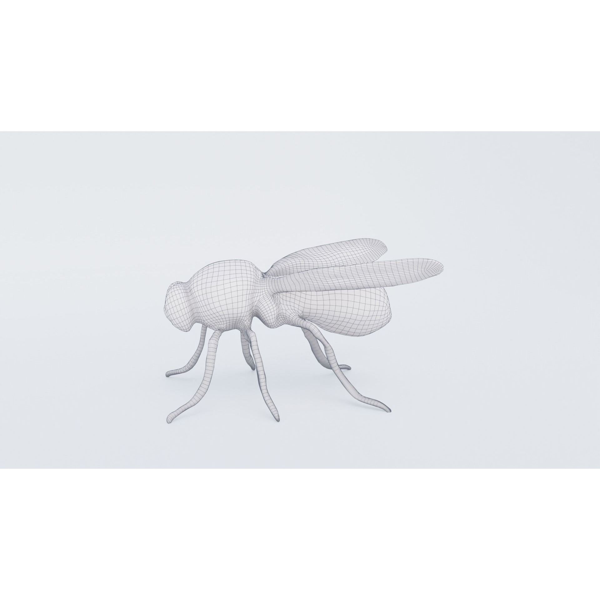 Fly Animal Free 3D model 7