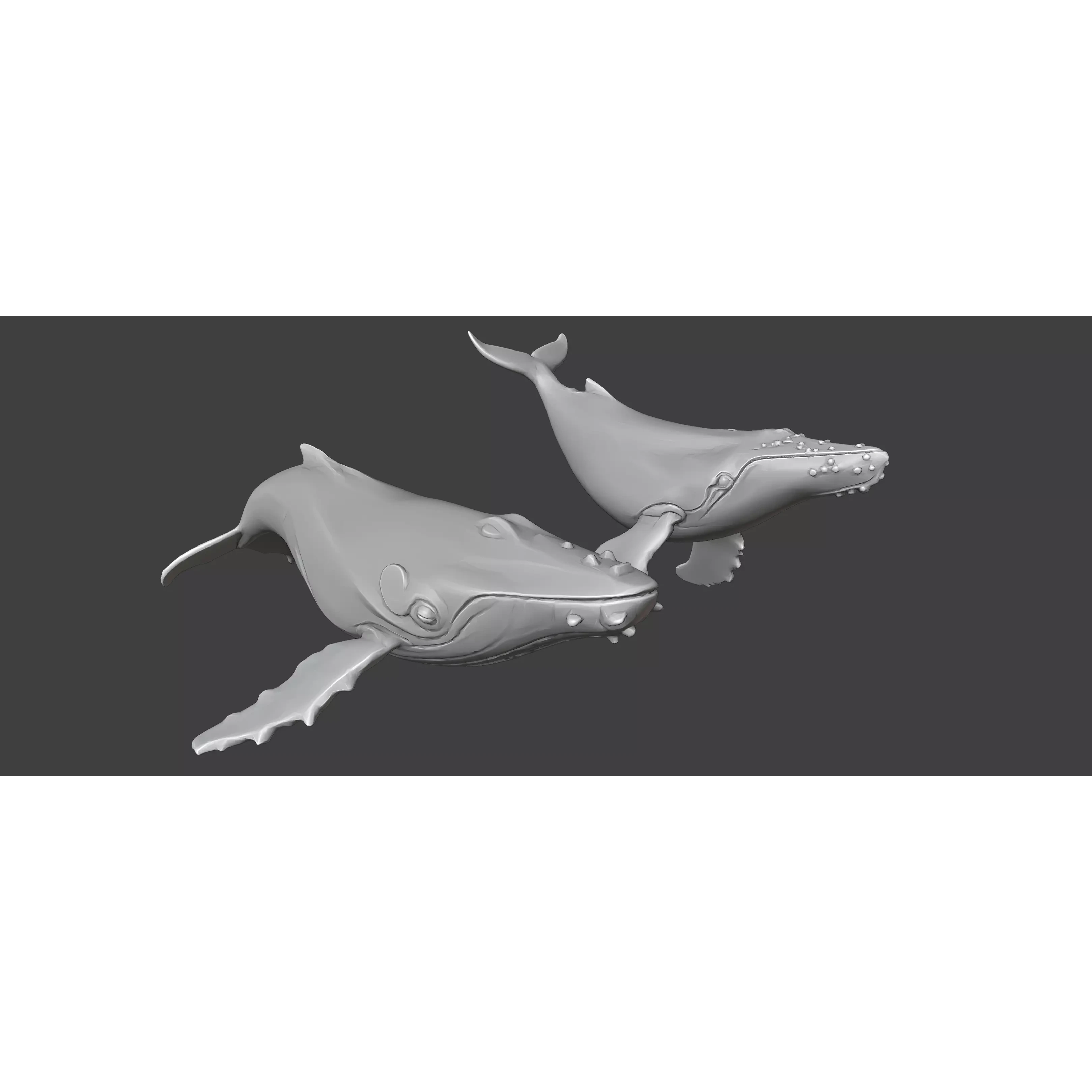 Free Stylized Lowpoly Whales Free low-poly 3D model 4