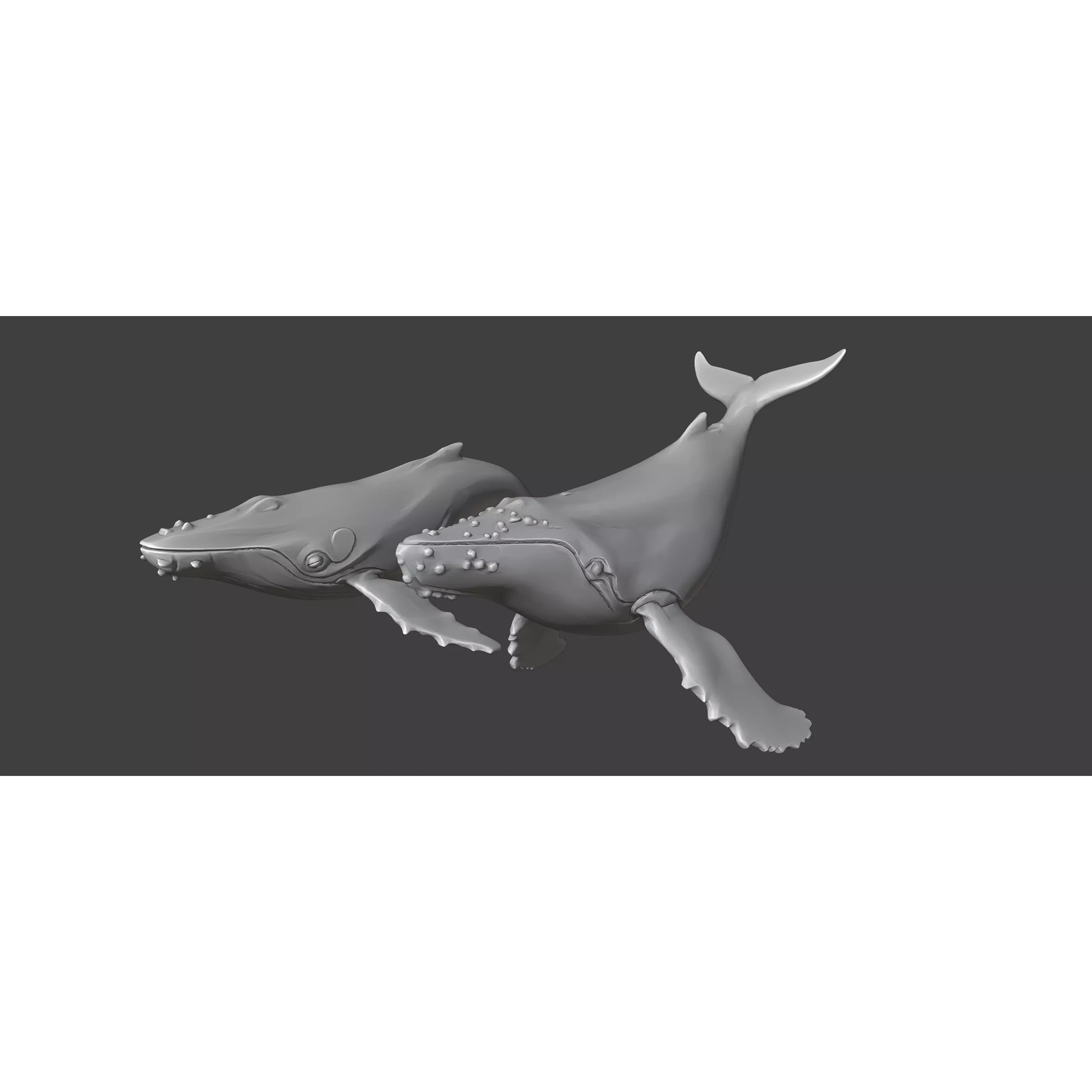 Free Stylized Lowpoly Whales Free low-poly 3D model 5
