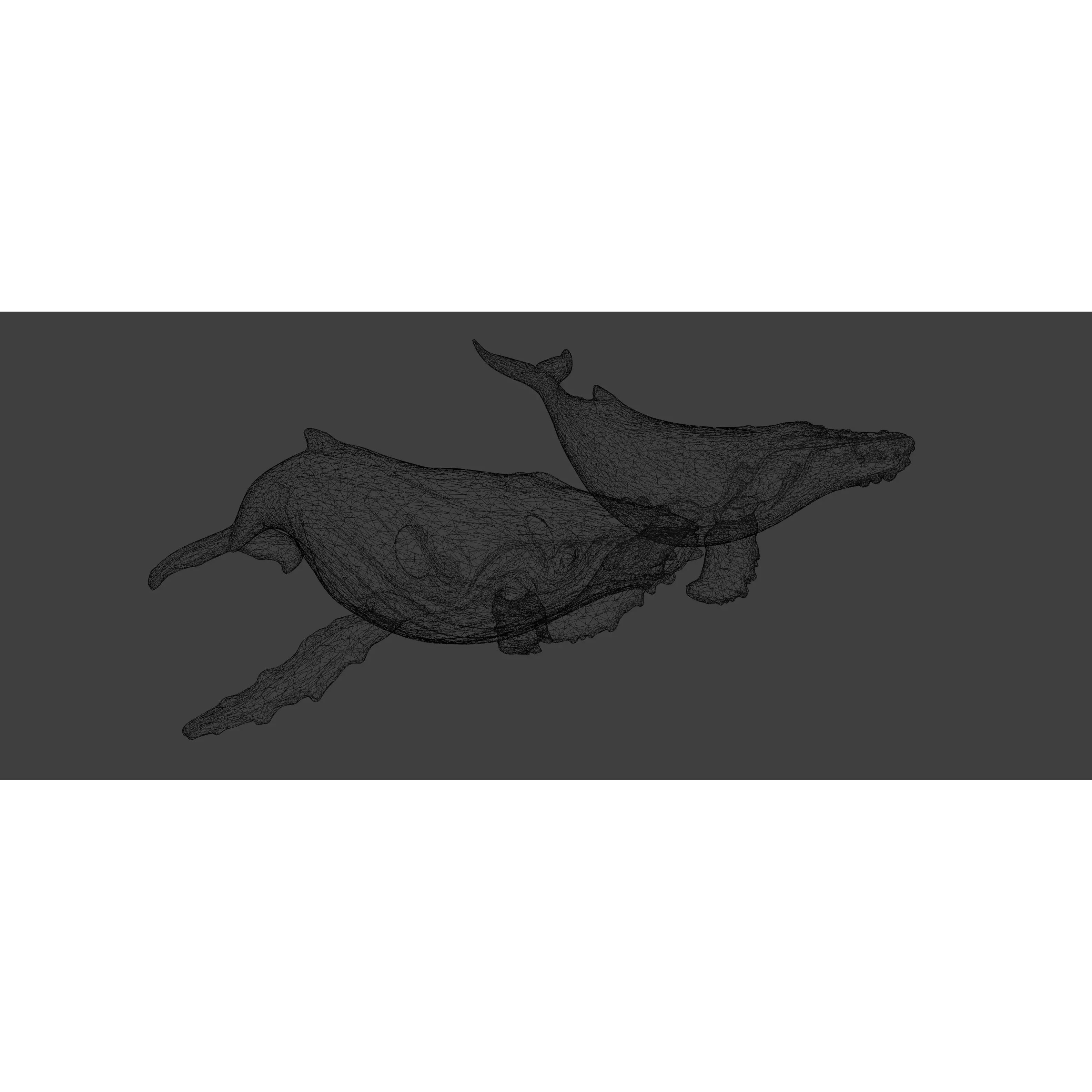Free Stylized Lowpoly Whales Free low-poly 3D model 7