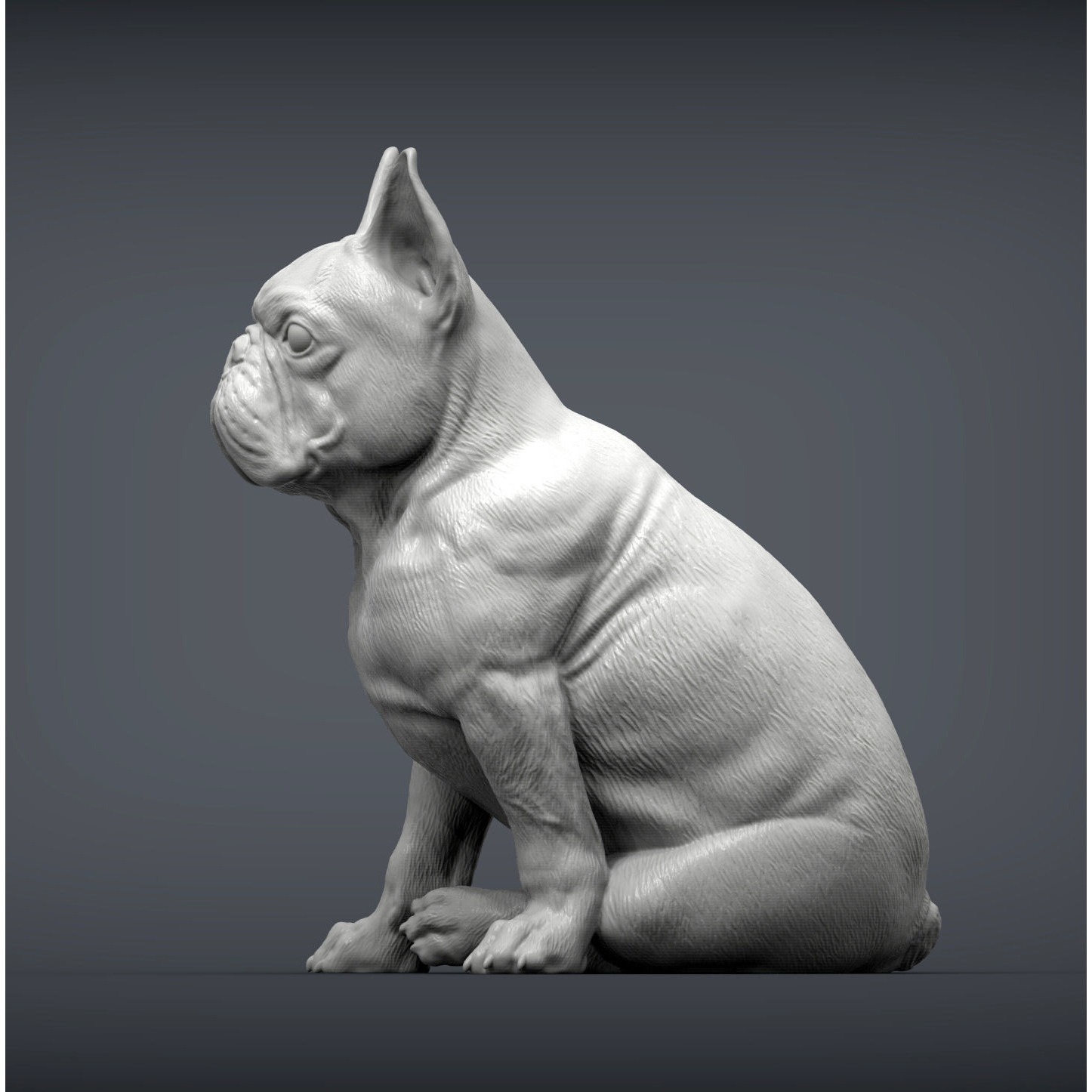 French Bulldog 3D print model 2