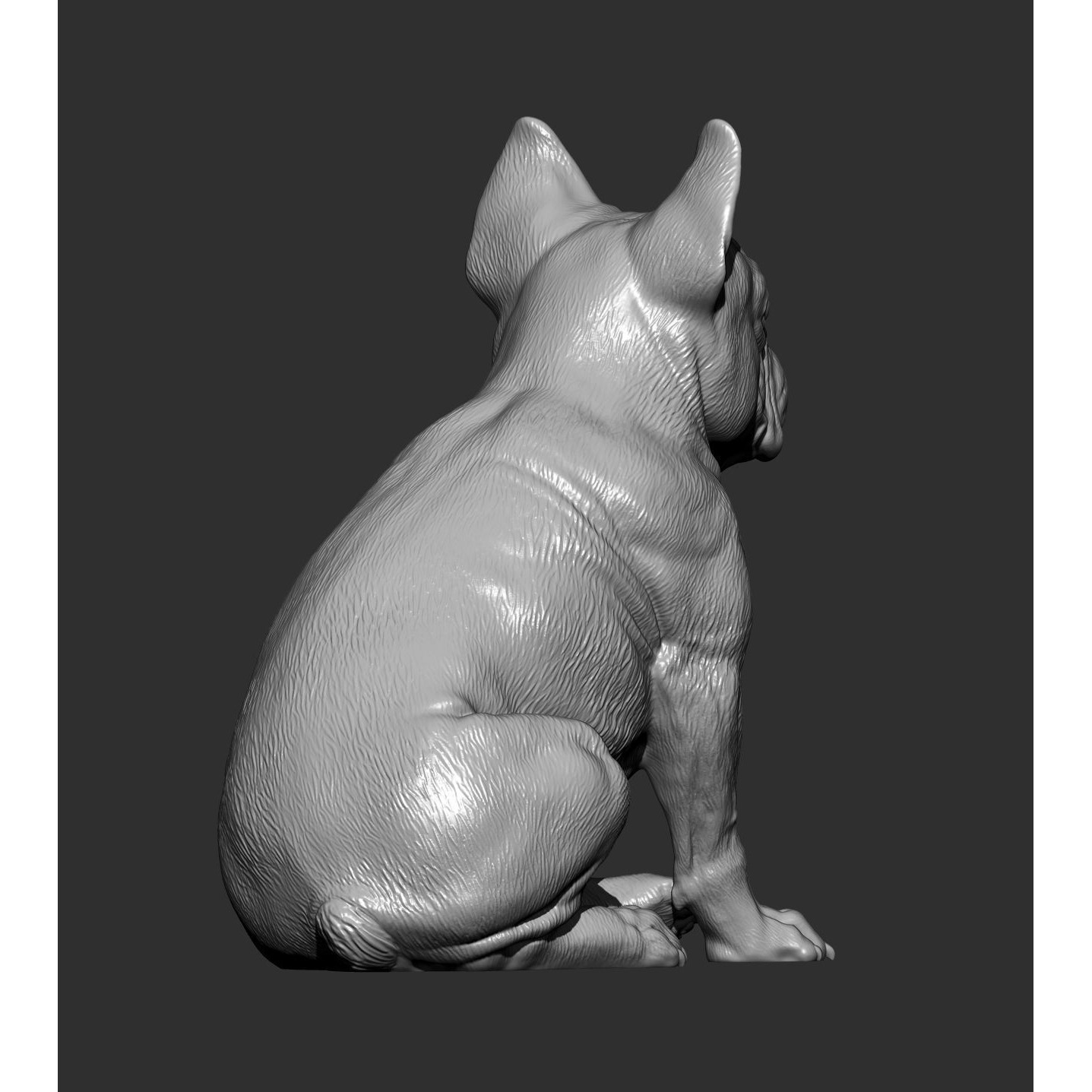 French Bulldog 3D print model 5