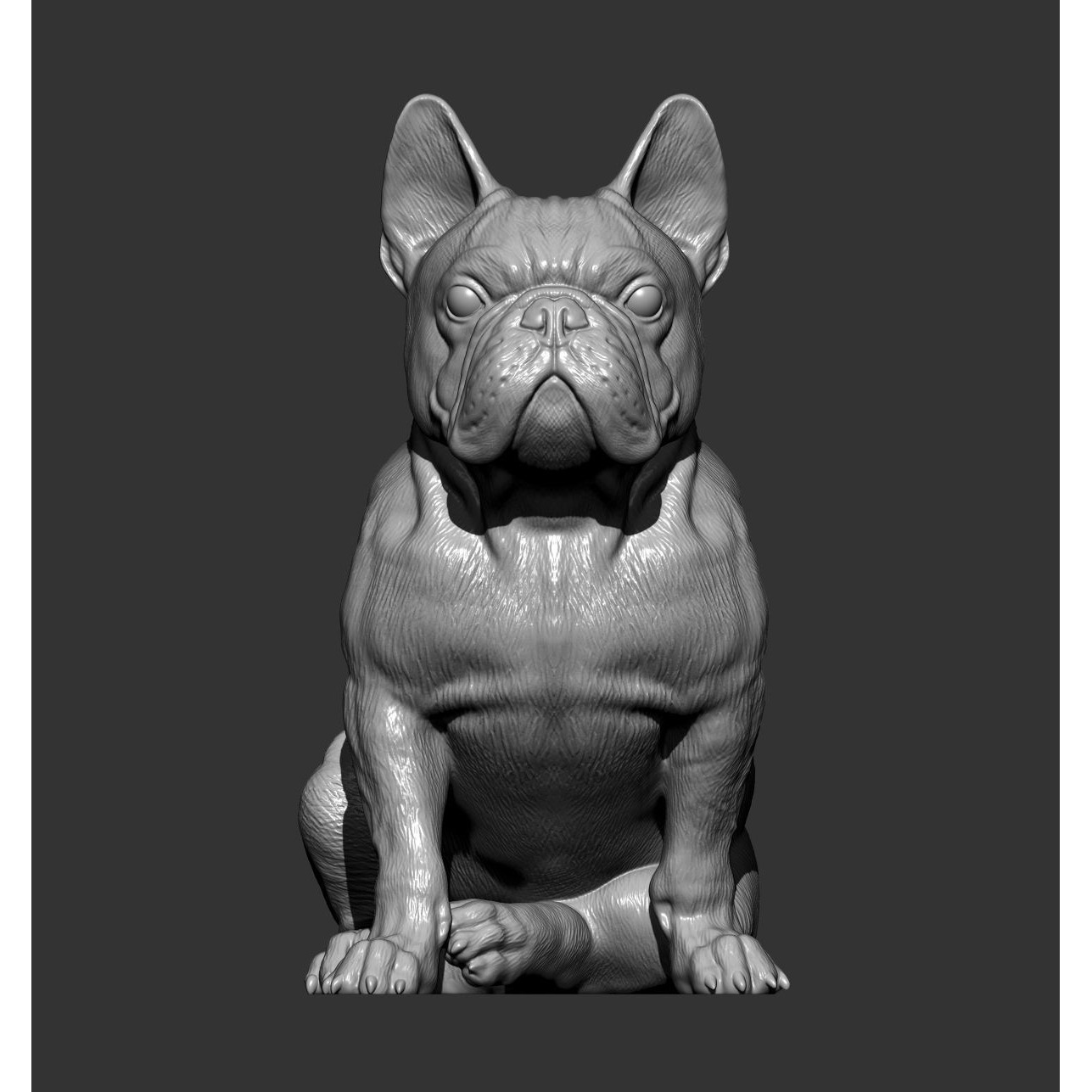 French Bulldog 3D print model 6