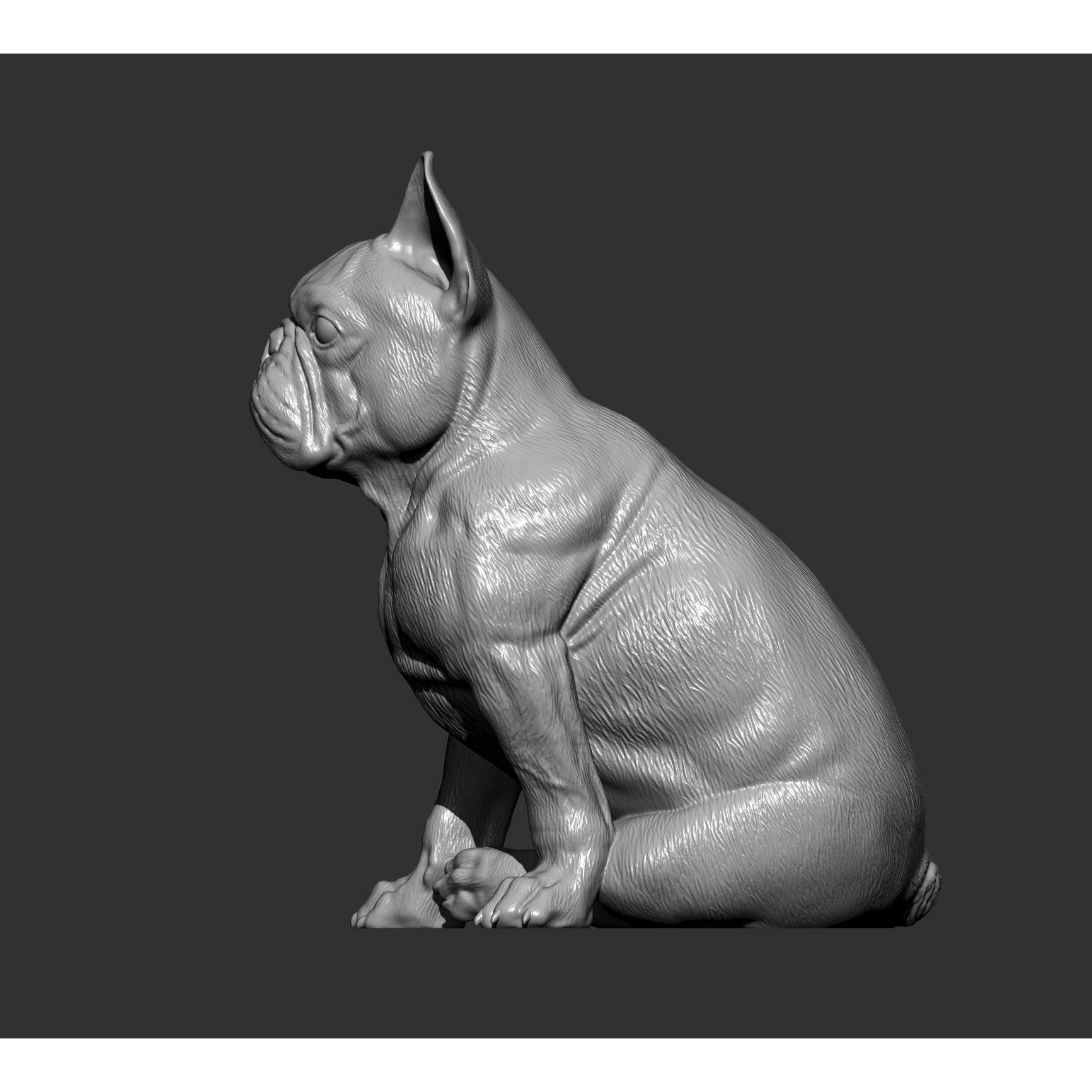 French Bulldog 3D print model 7