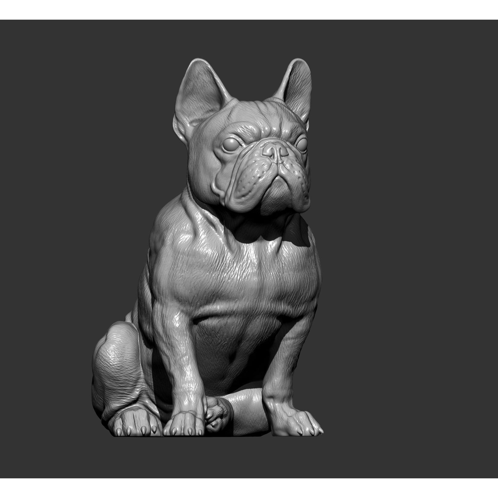 French Bulldog 3D print model 8