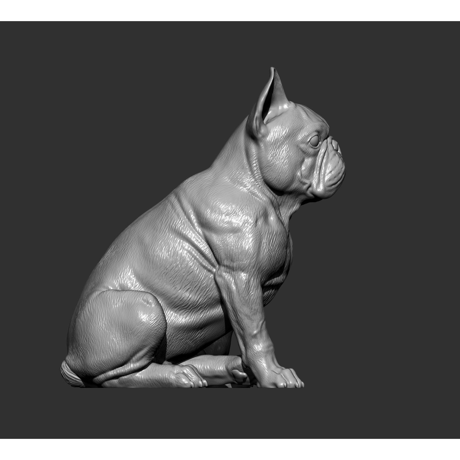 French Bulldog 3D print model 9