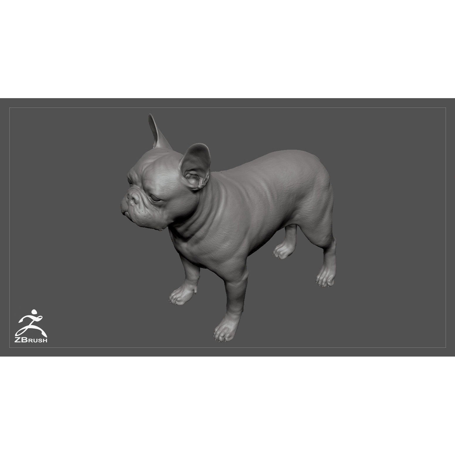 French Bulldog High-Poly 3D print model 4