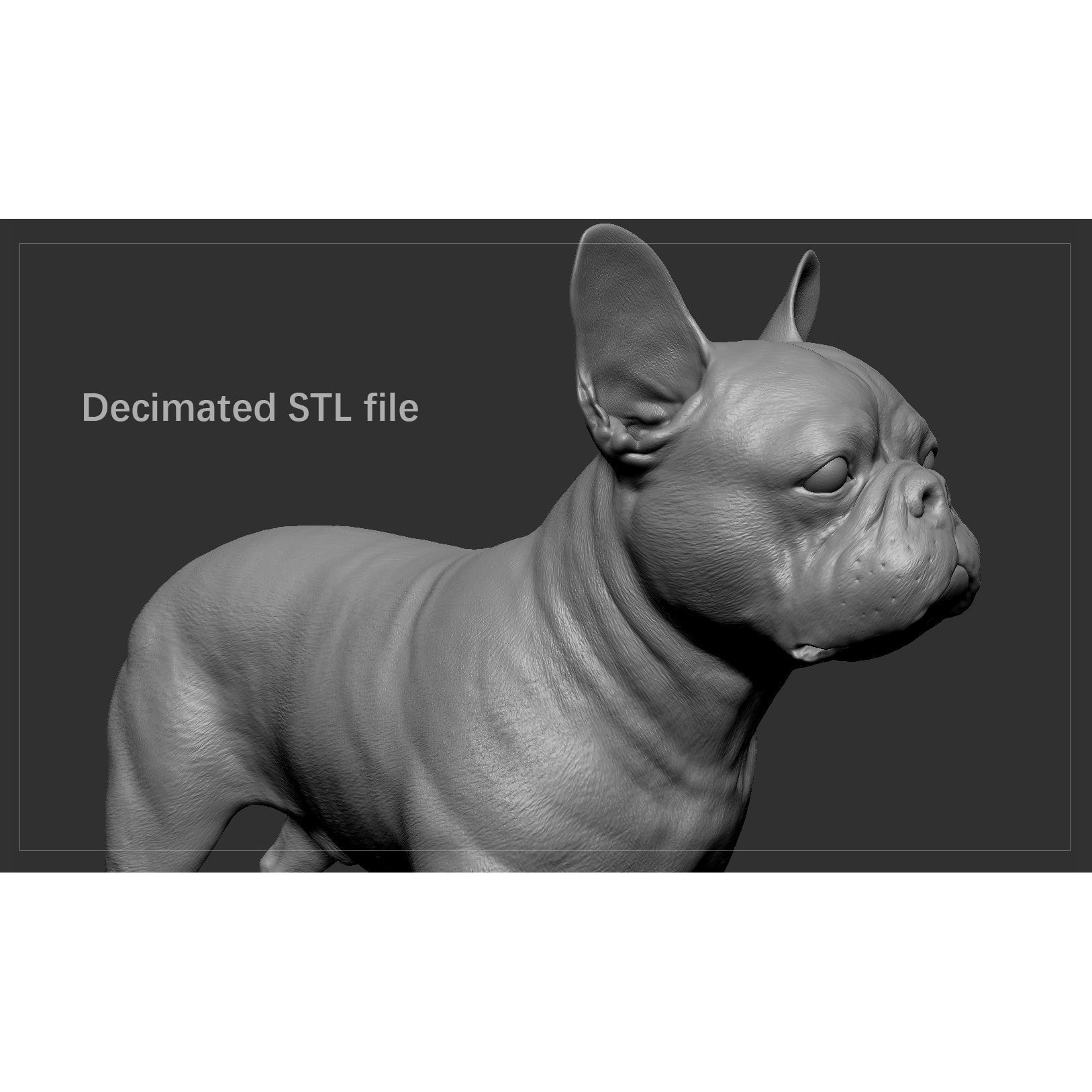 French Bulldog High-Poly 3D print model 7