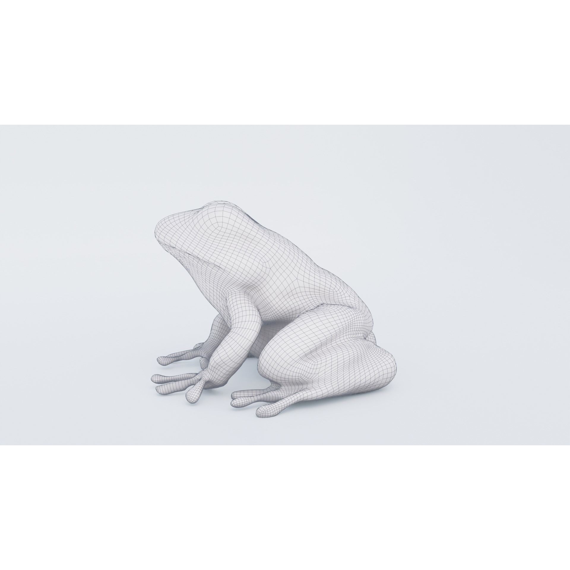 Frog Animal Free 3D model 7